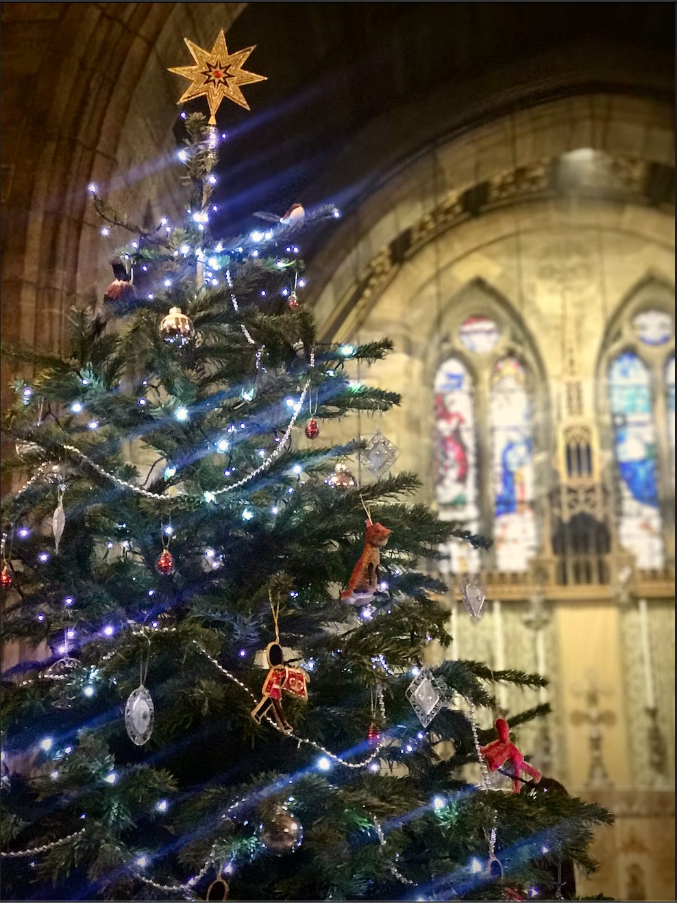 Preparing For Christmas...