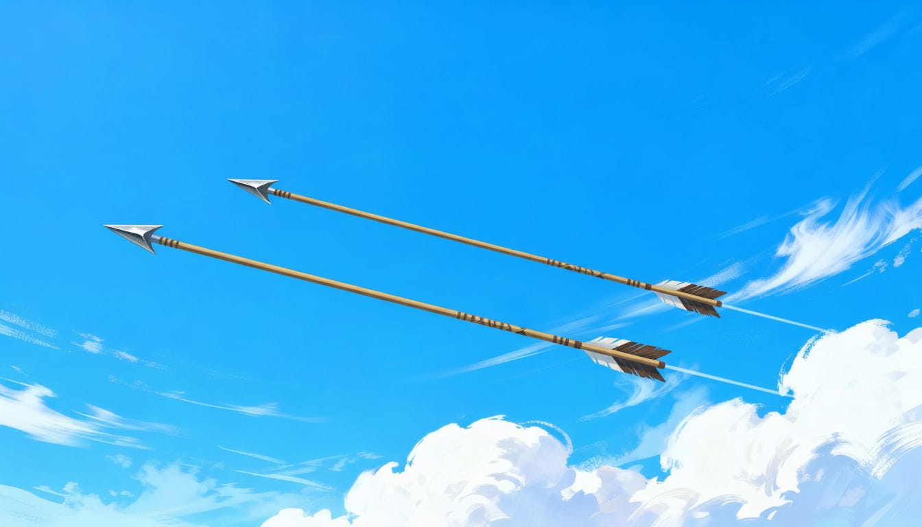 Stopping the Second Arrow: Buddhism's Essence