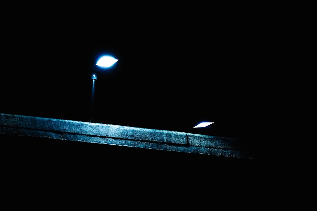 207. Nuno Júdice e a luz dos autocarros de Lisboa