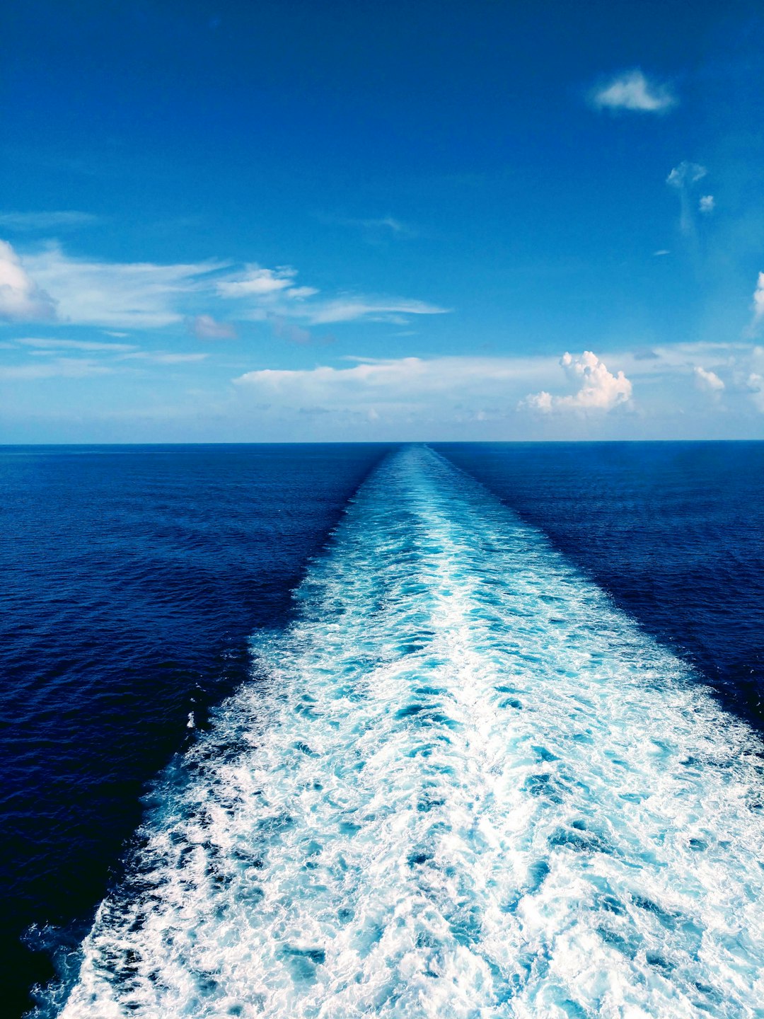 226. O tripé da língua (e um livro português no Brasil)