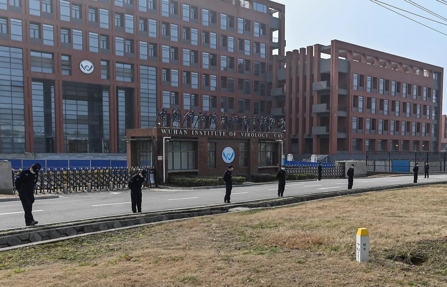 Listen to This Article: Covid's Origins and the Death of Trust