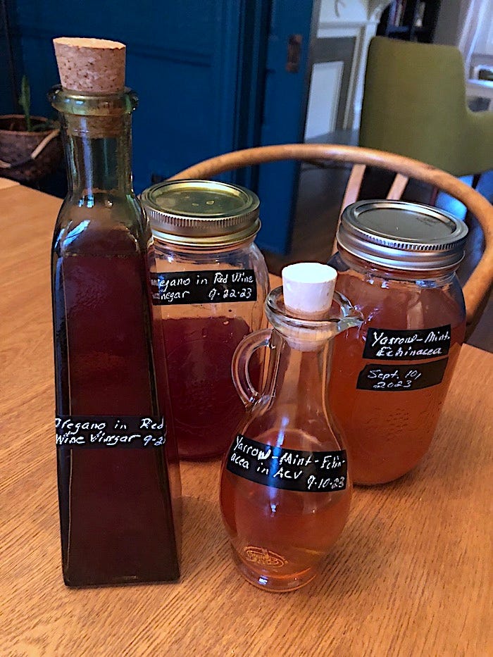 Podcast No. 45: Forging an herbal legacy