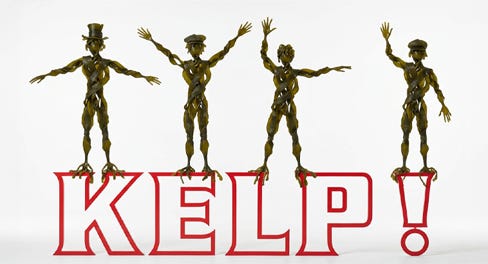 KELP!