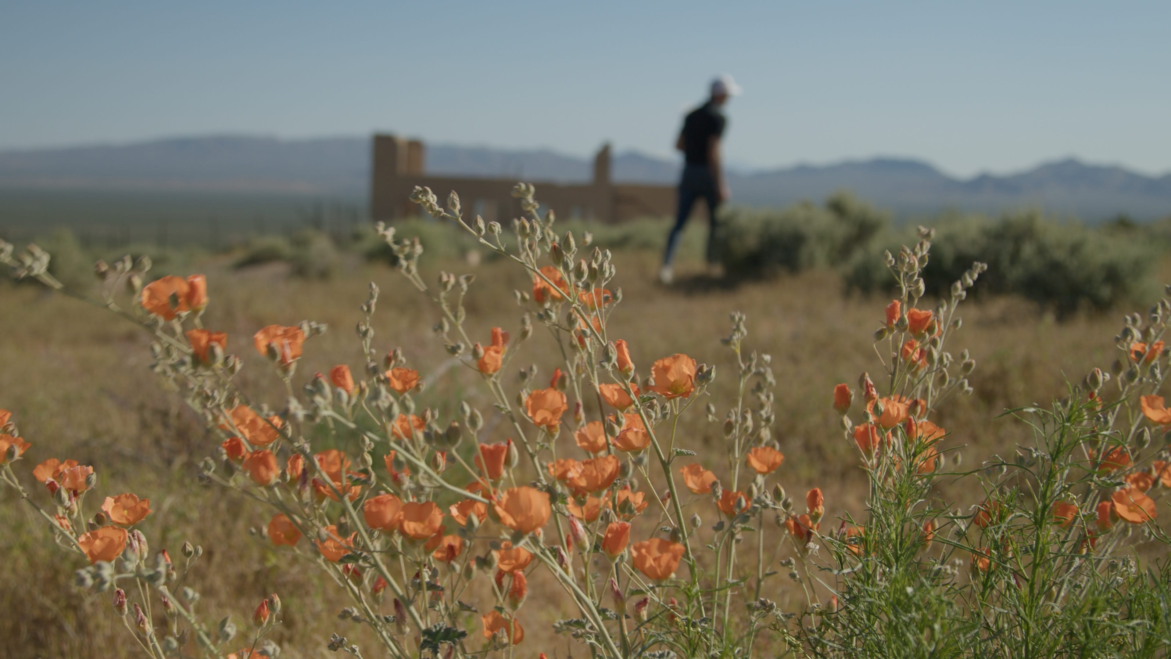Episode 33: Discovering New Molecules in Nature