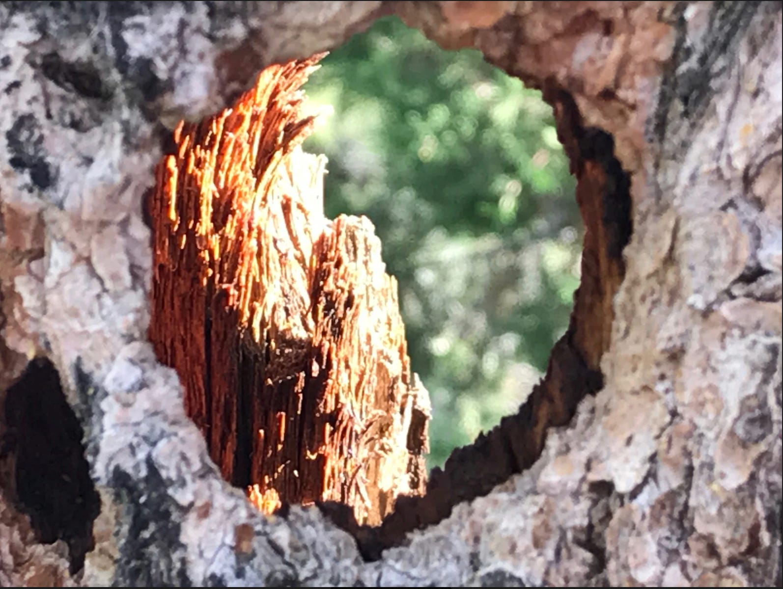 Emerging Form