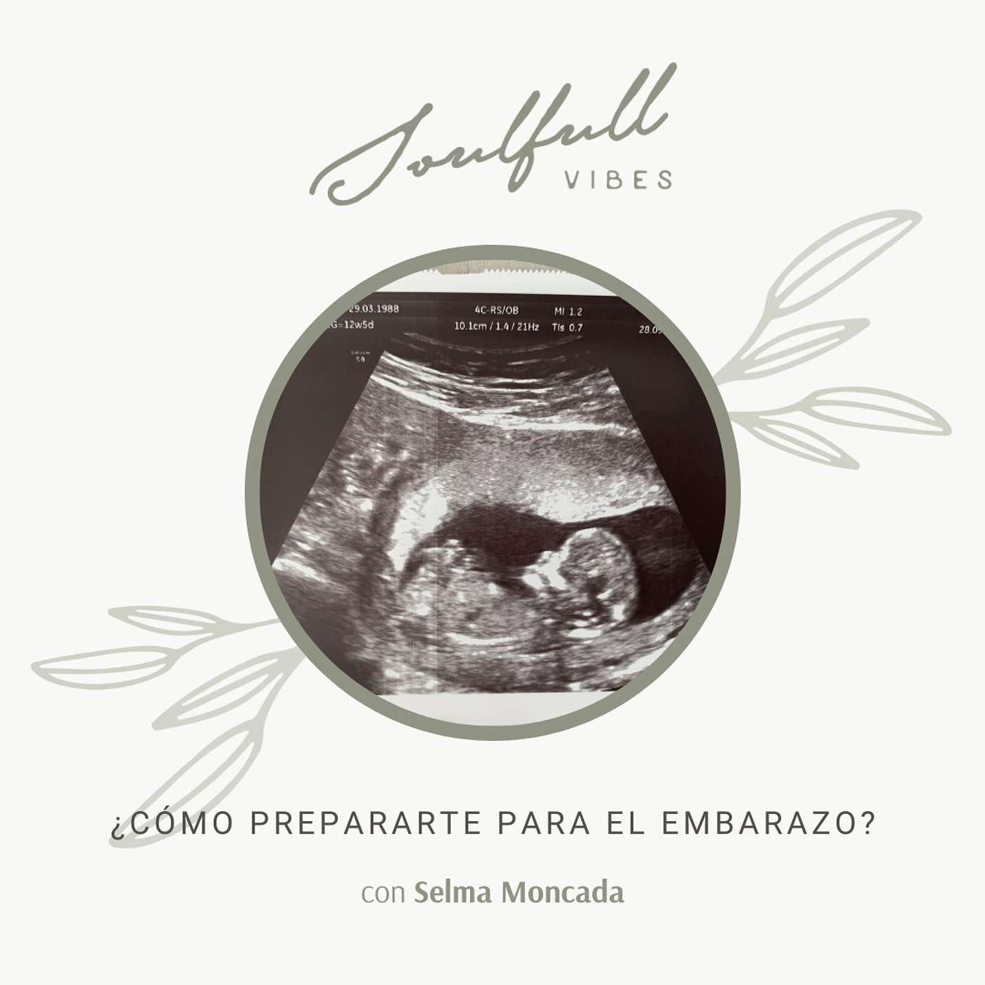 087 - ¿Cómo prepararte para el embarazo? episode artwork