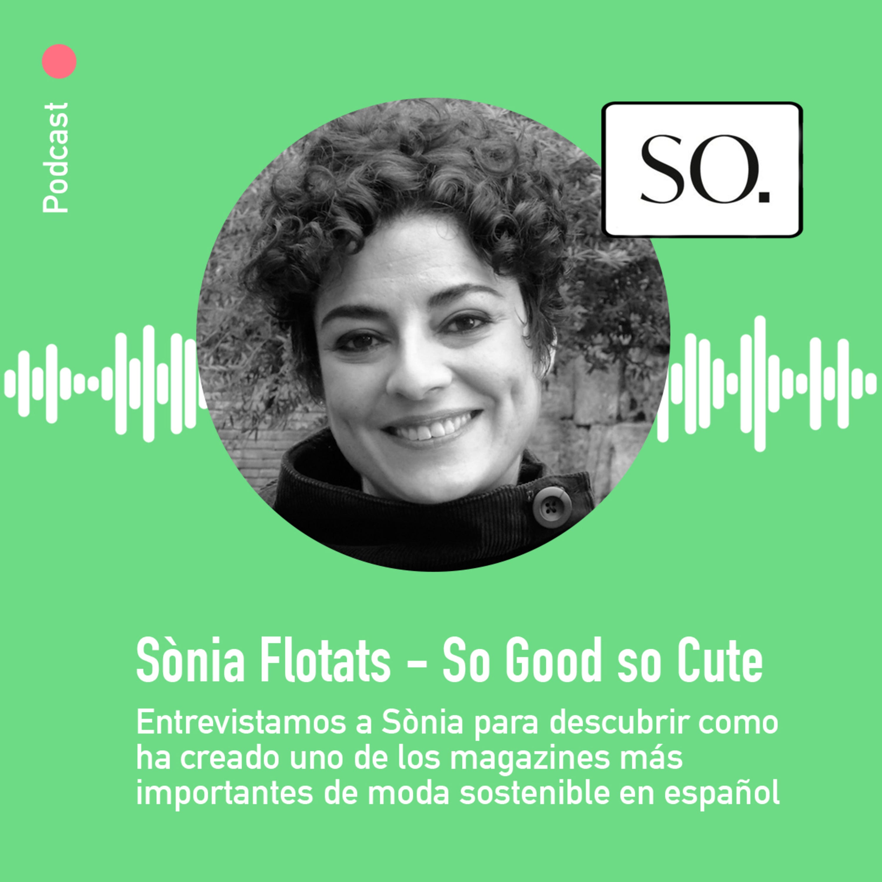 Descubriendo la Sostenibilidad