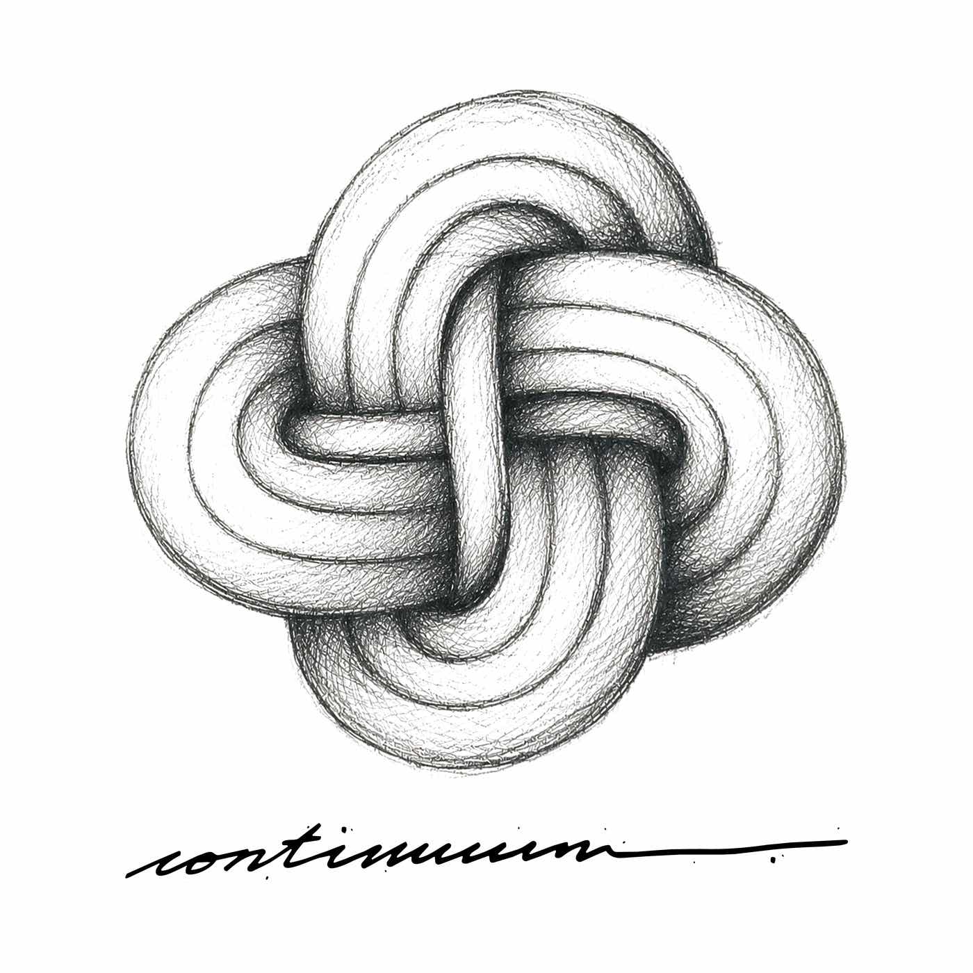 Continuum Field Podcast podcast artwork