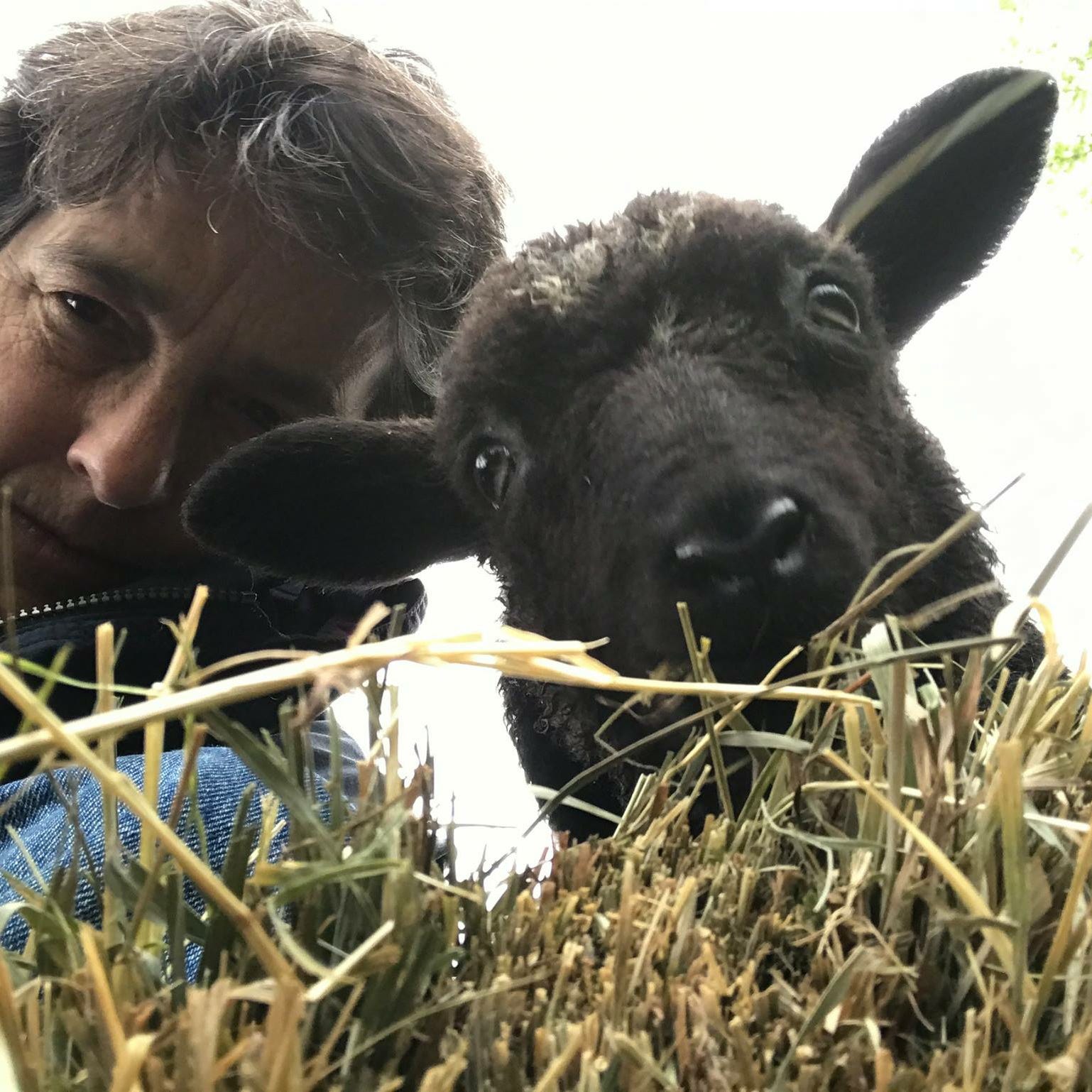 Story Time at Clatter Ridge Farm