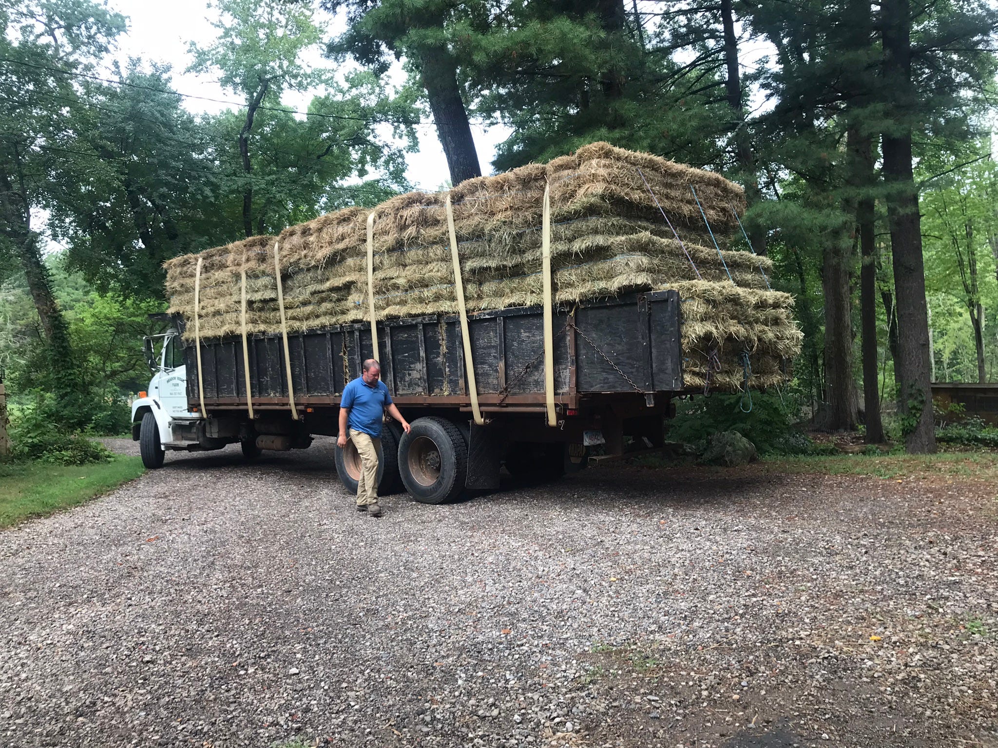 Stacking Hay
