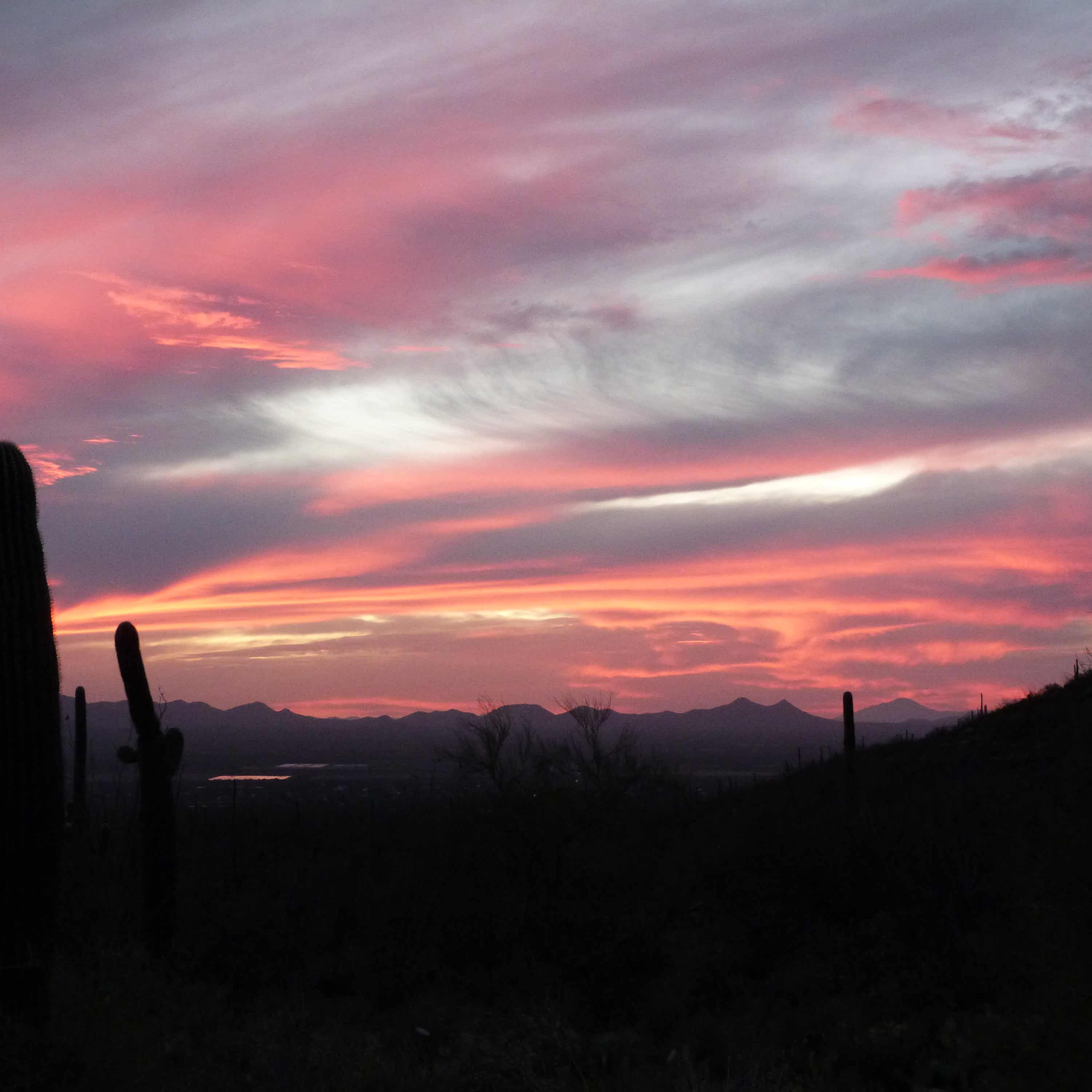 Vigor Trending by Brian Robinson cover art