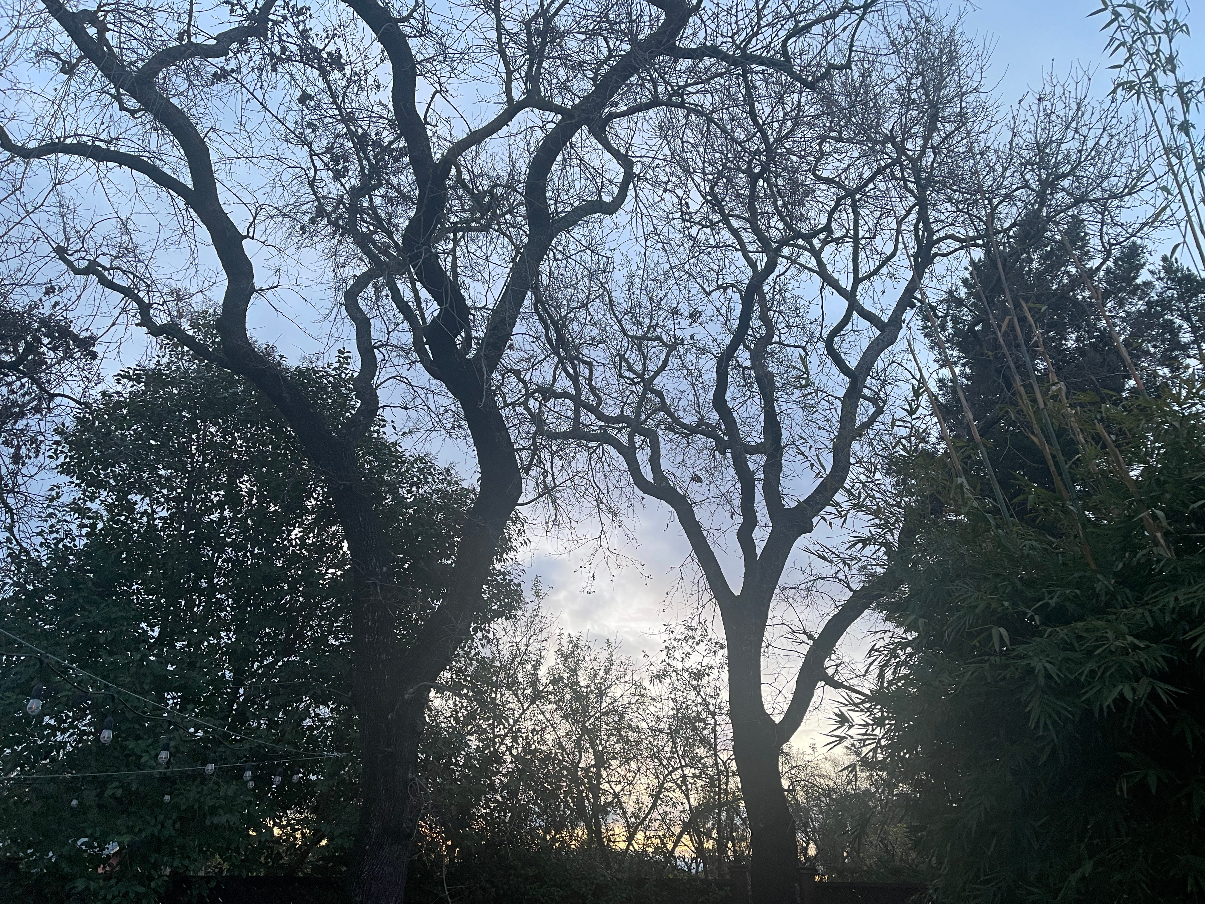 A 500 Year Circle ⭕️ Starting - Spring Equinox New Moon Eve