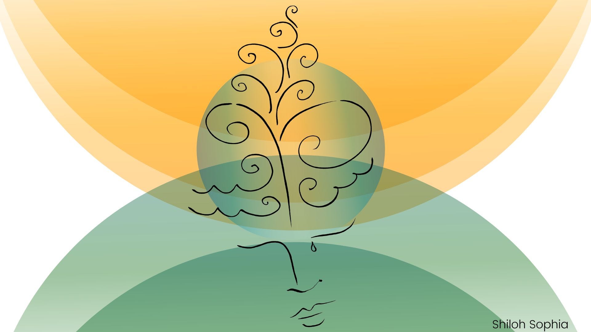 Your Powerful Fiber in the Fabric of Creation