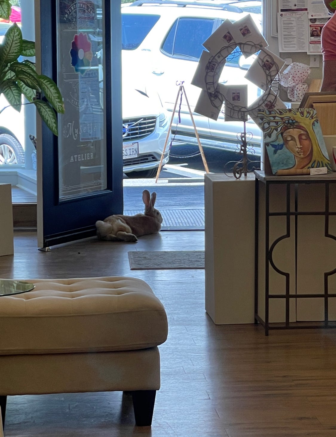 Inhabit your consciousness ~ here’s why!