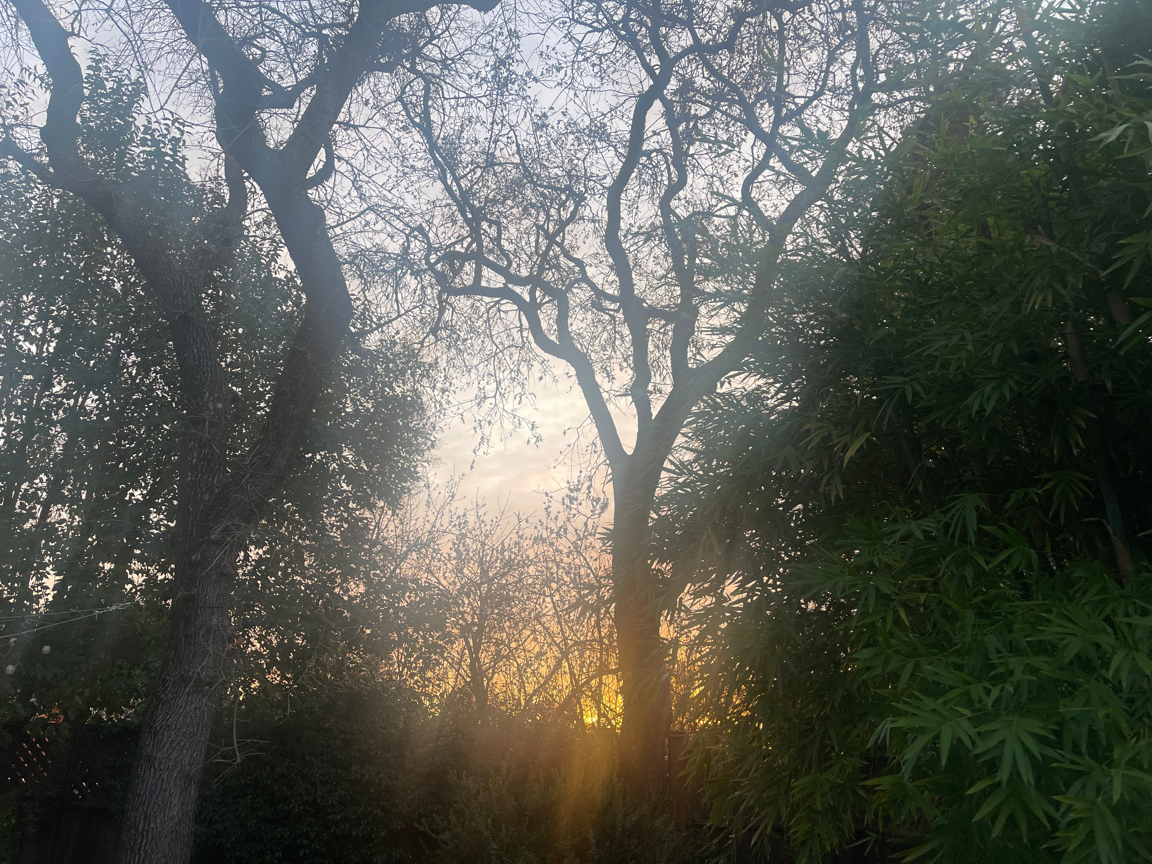 A new “F” word in stress response options + live class today