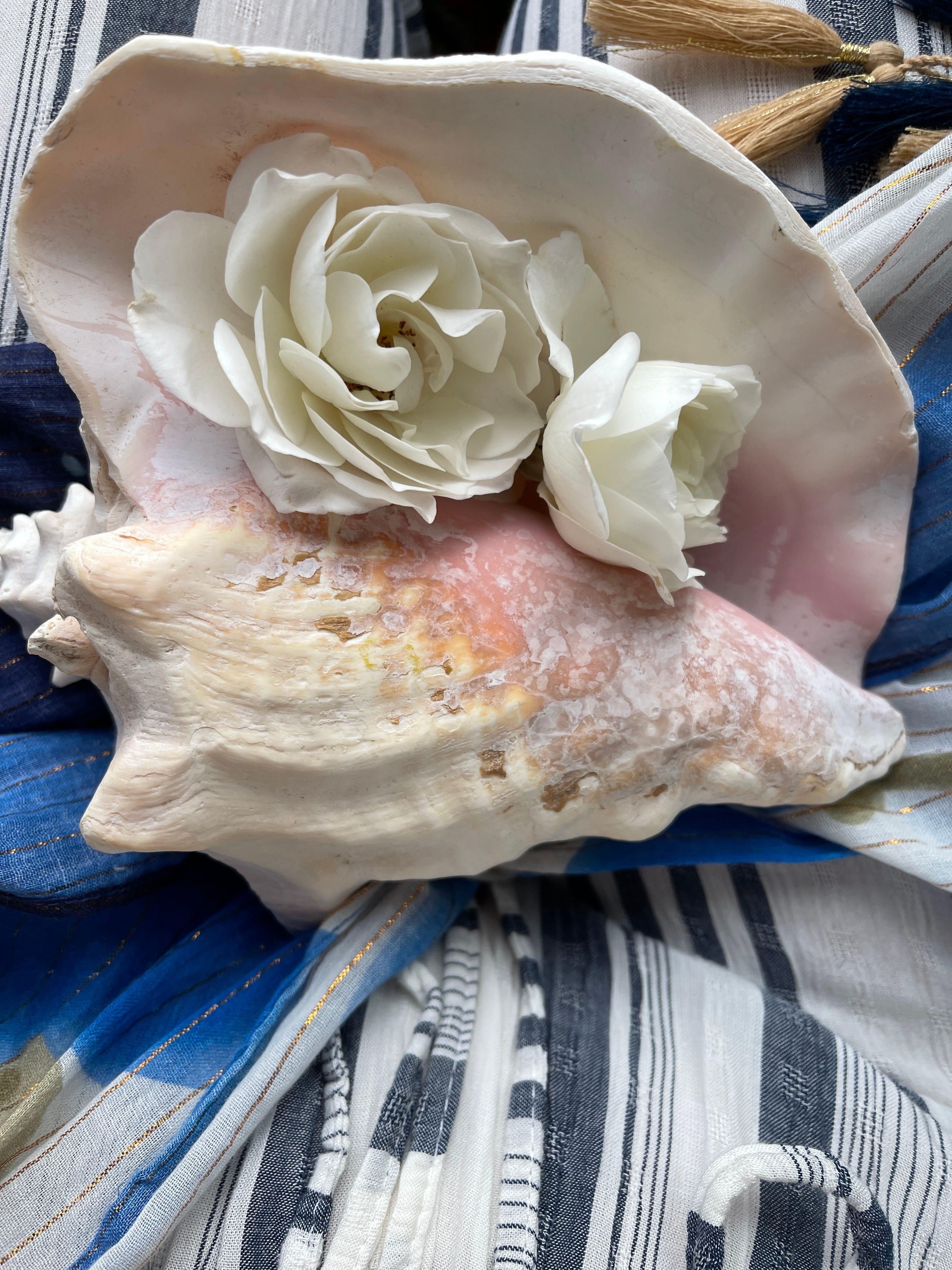 Inviting Exquisite Beauty meditation