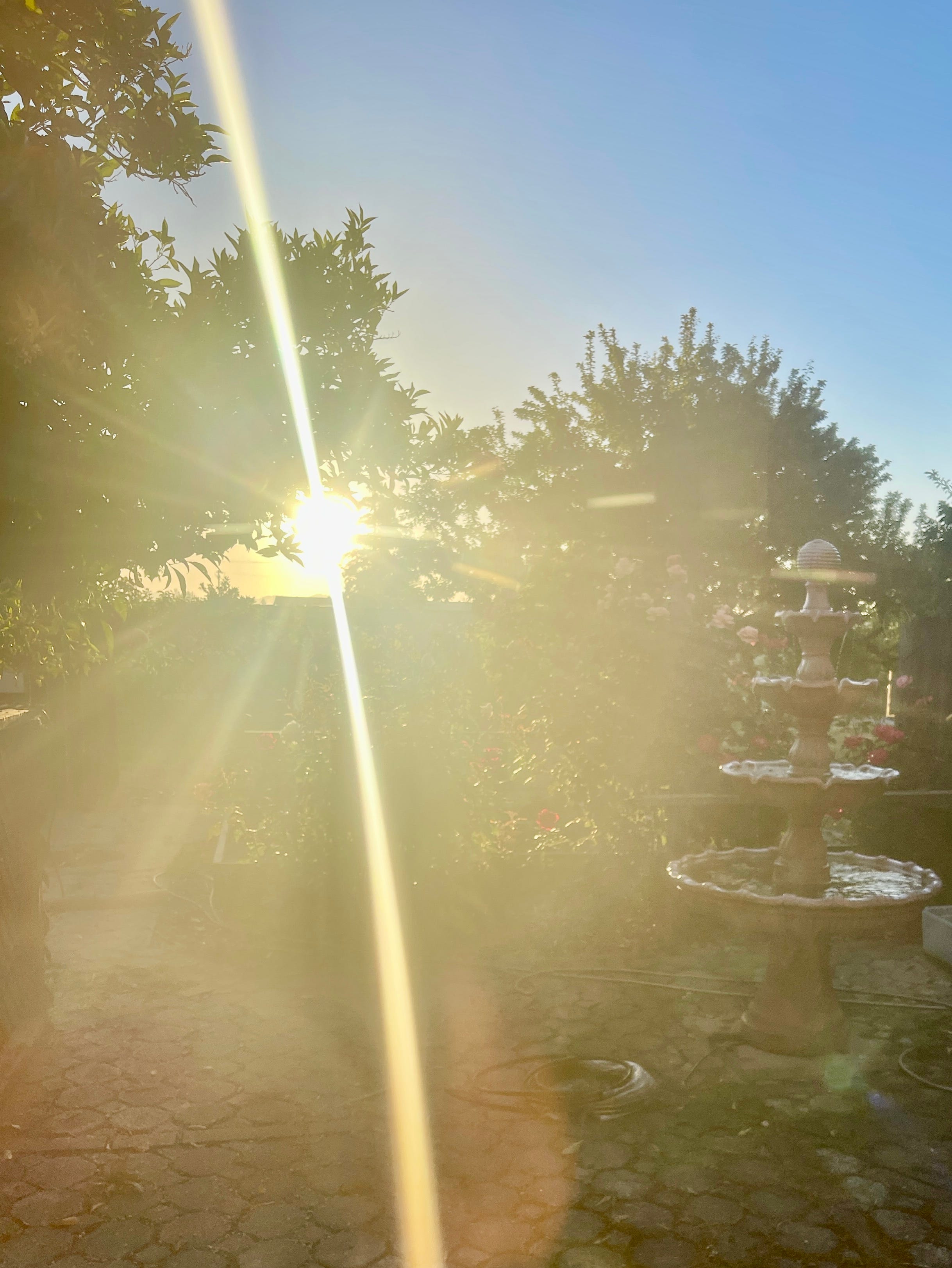 Make one much needed change today ☀️ here’s how