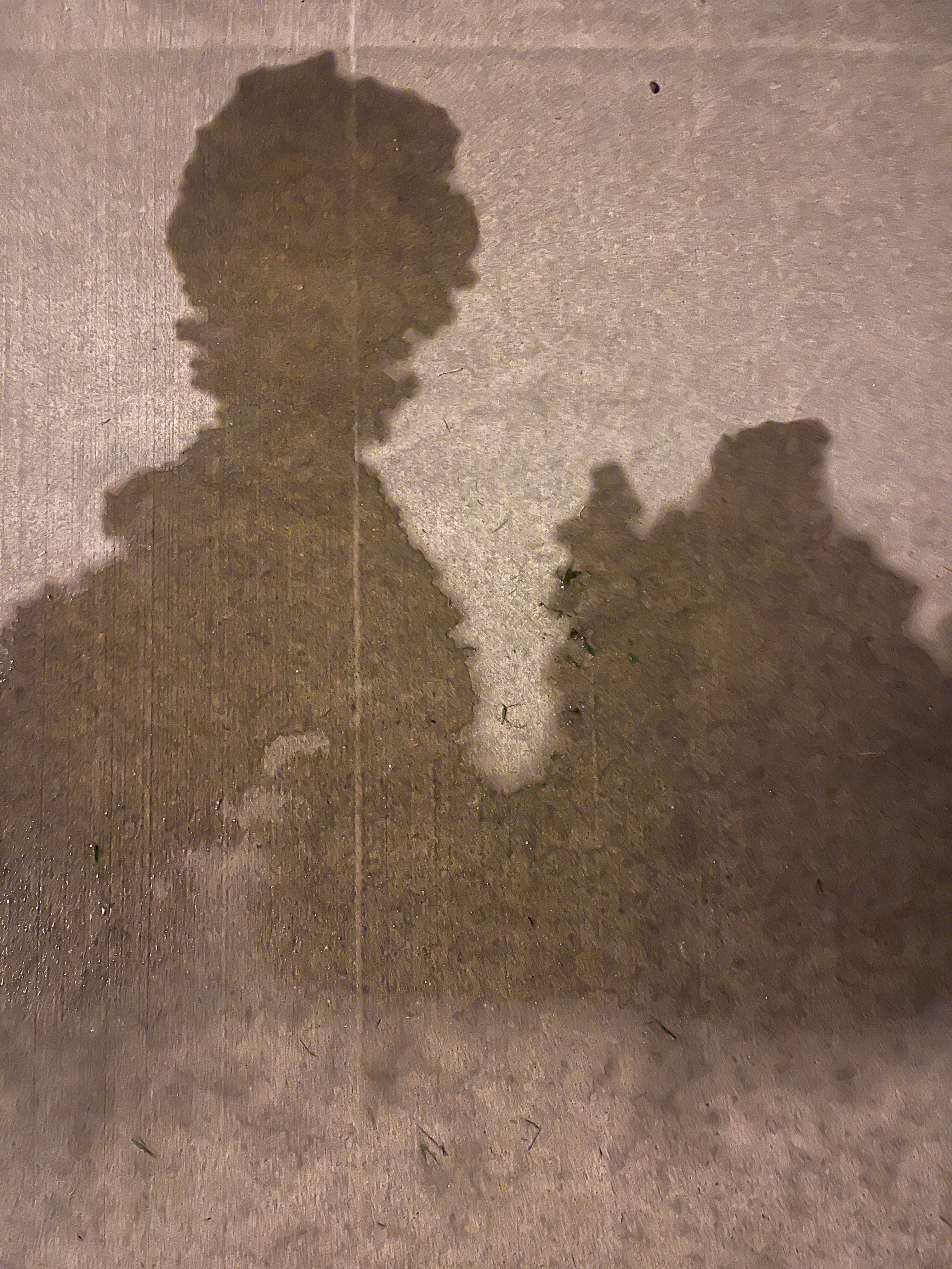 Jung & the Field & the Invisible You