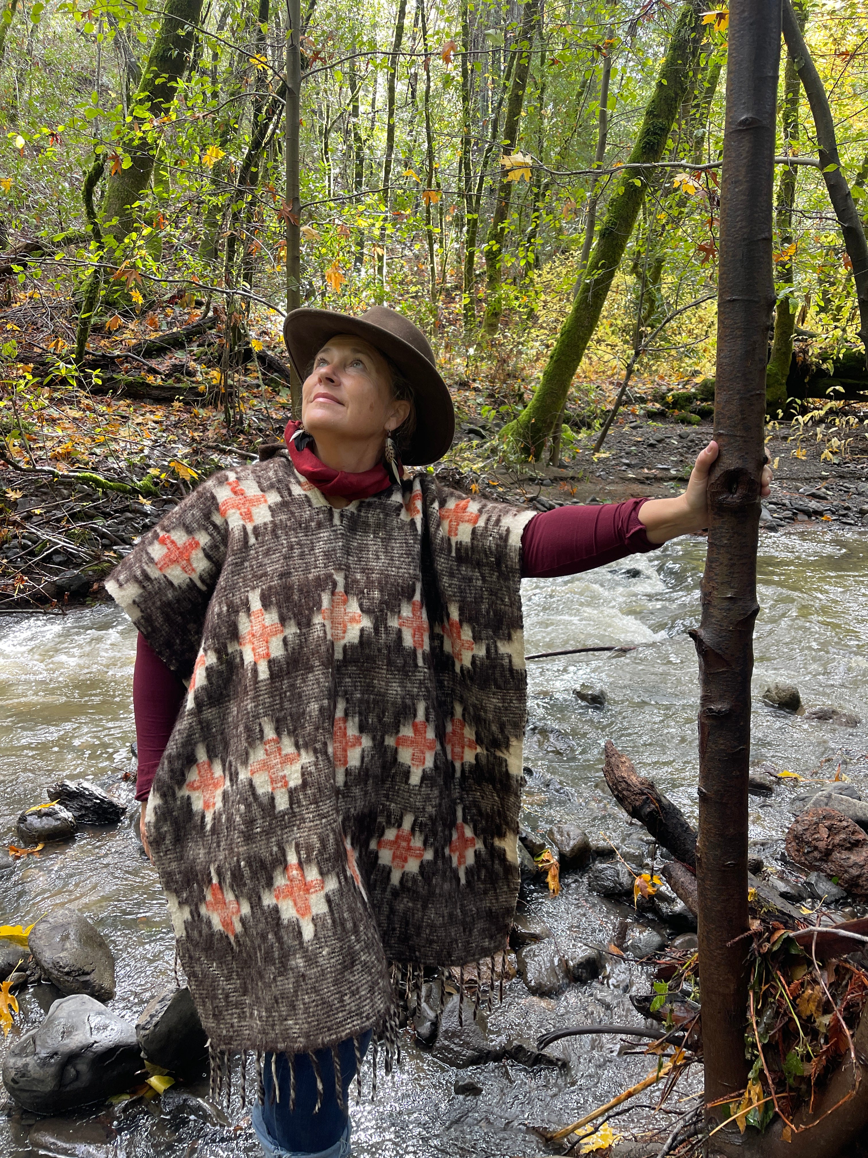 My primary IDEAL just changed