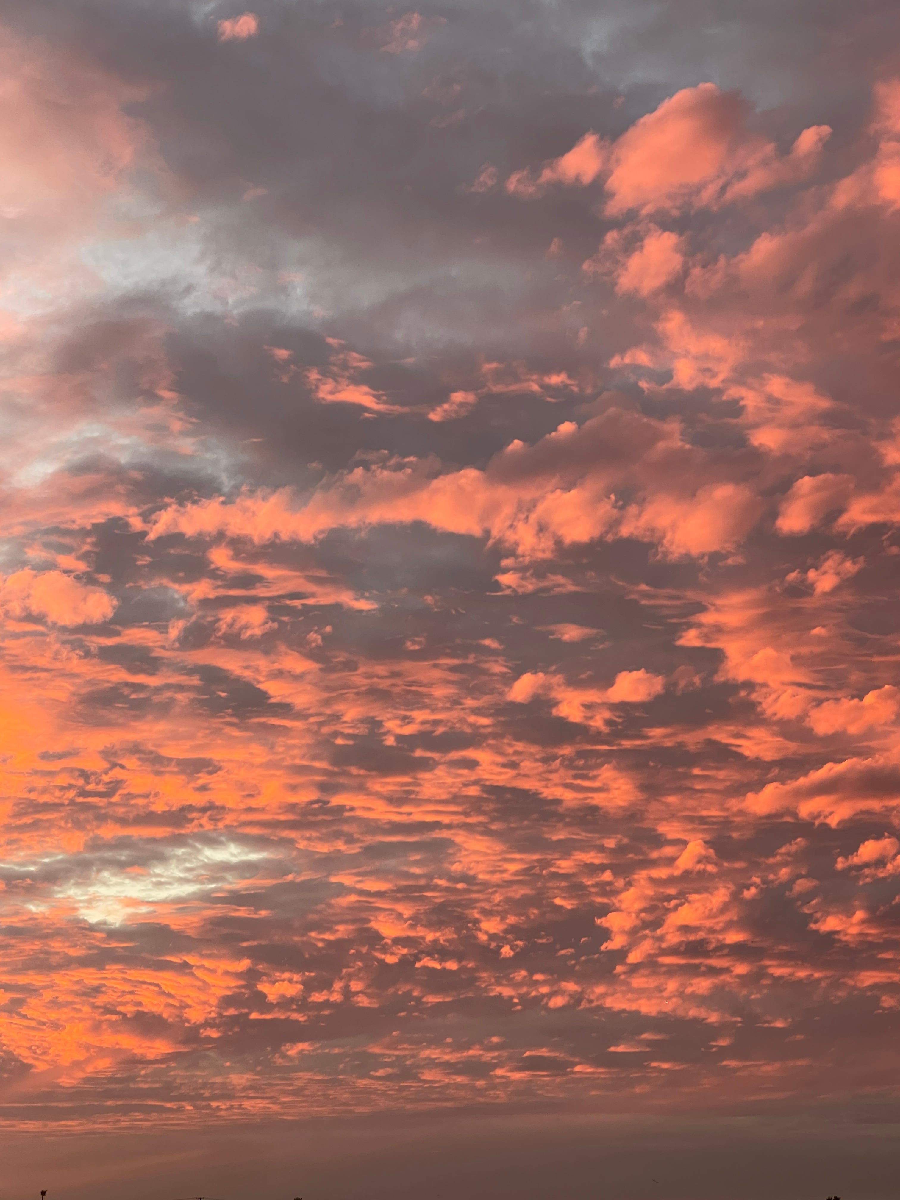 Pink Clouds 