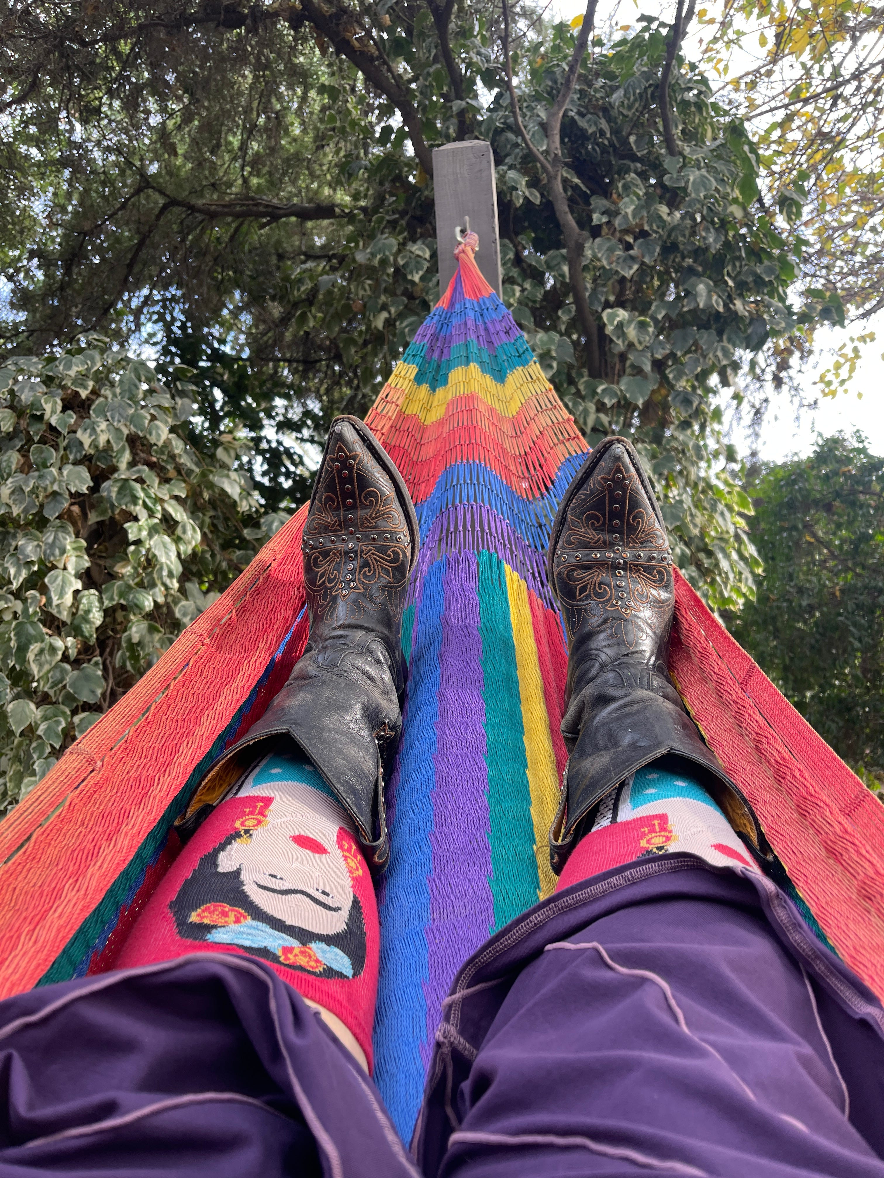 Does the swan dream of being a bear?