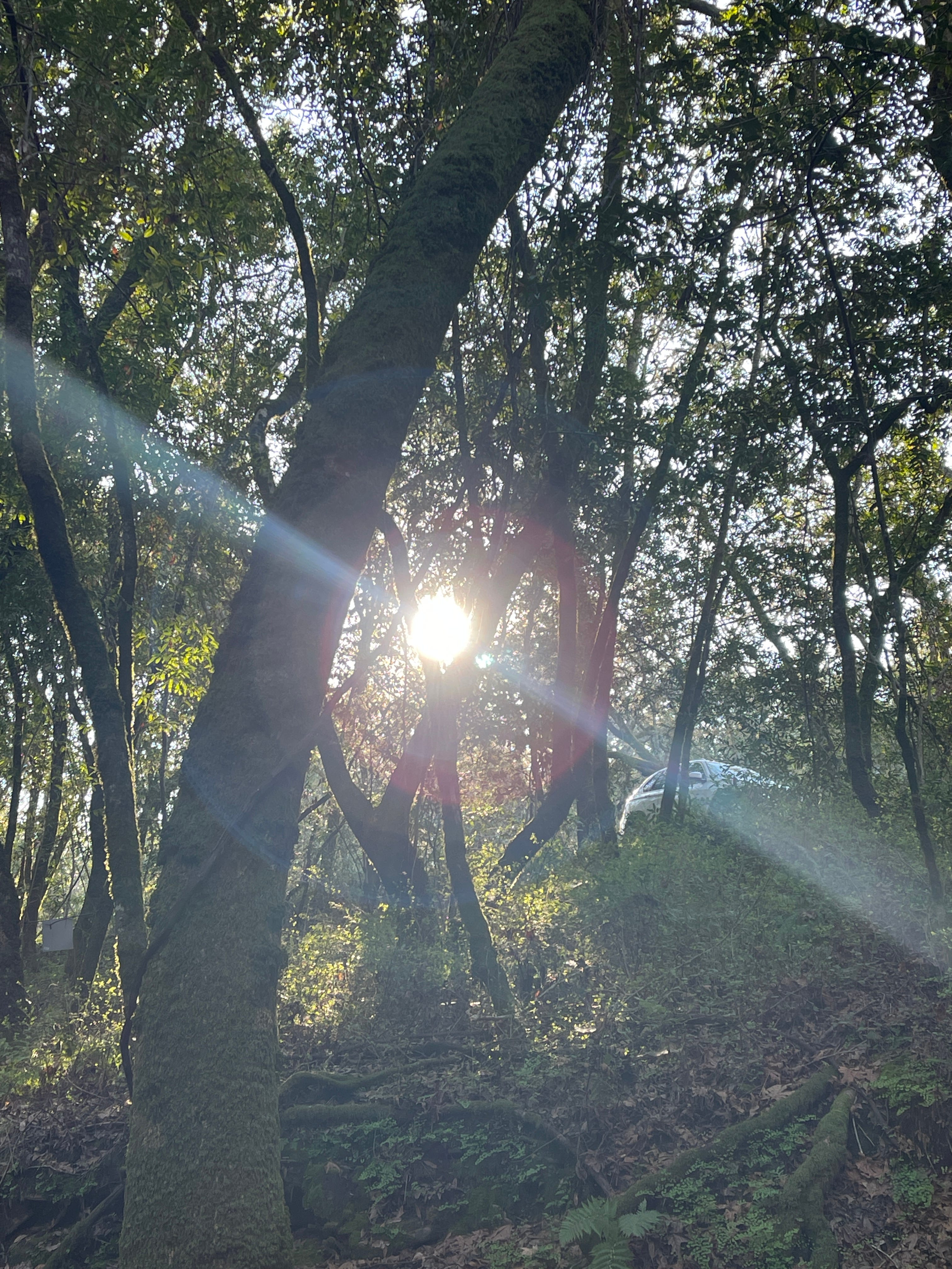 A Good Time to Have Dream