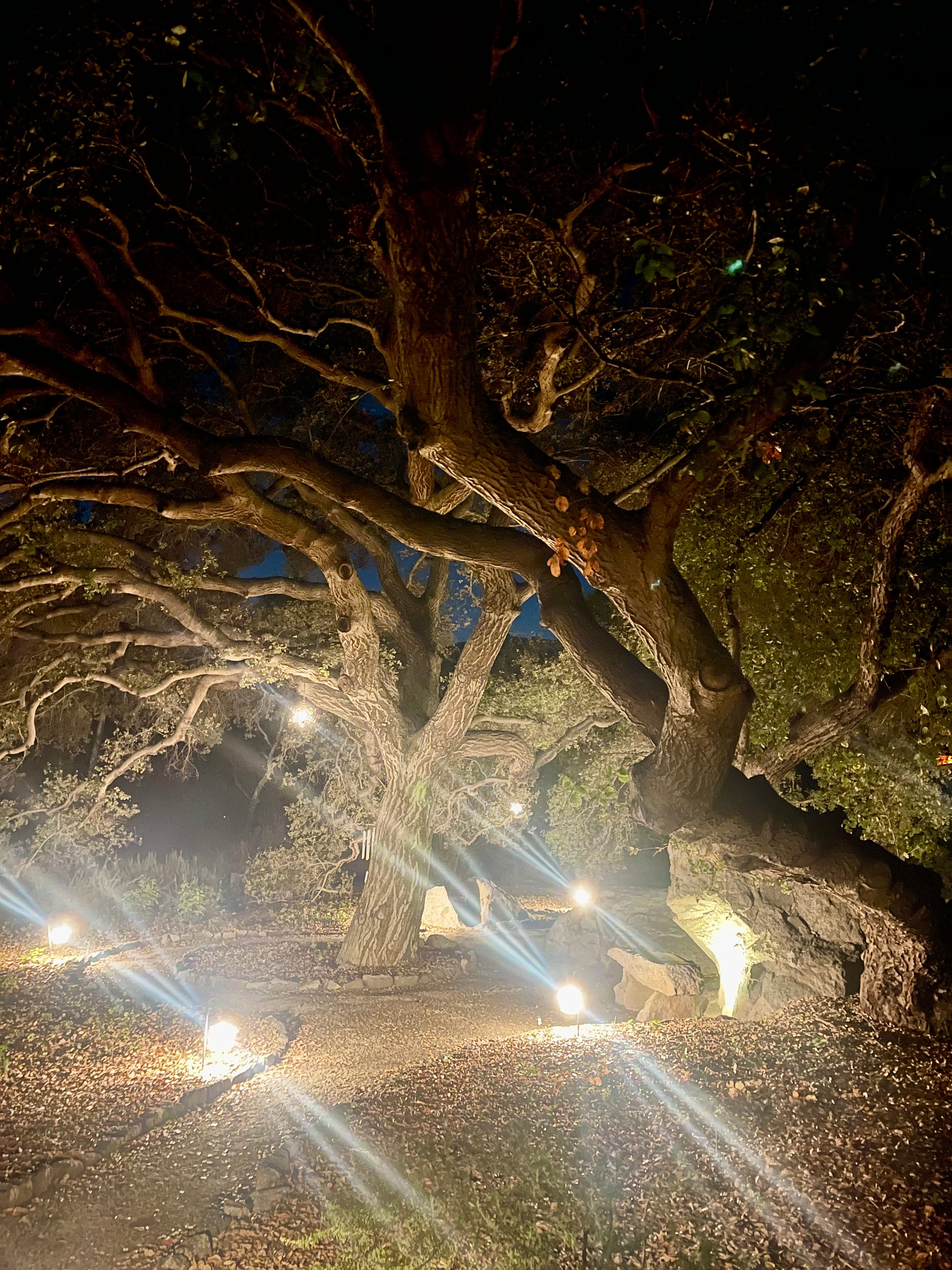 ❤️ Woman. Sister. Friend. You really have been through so much…