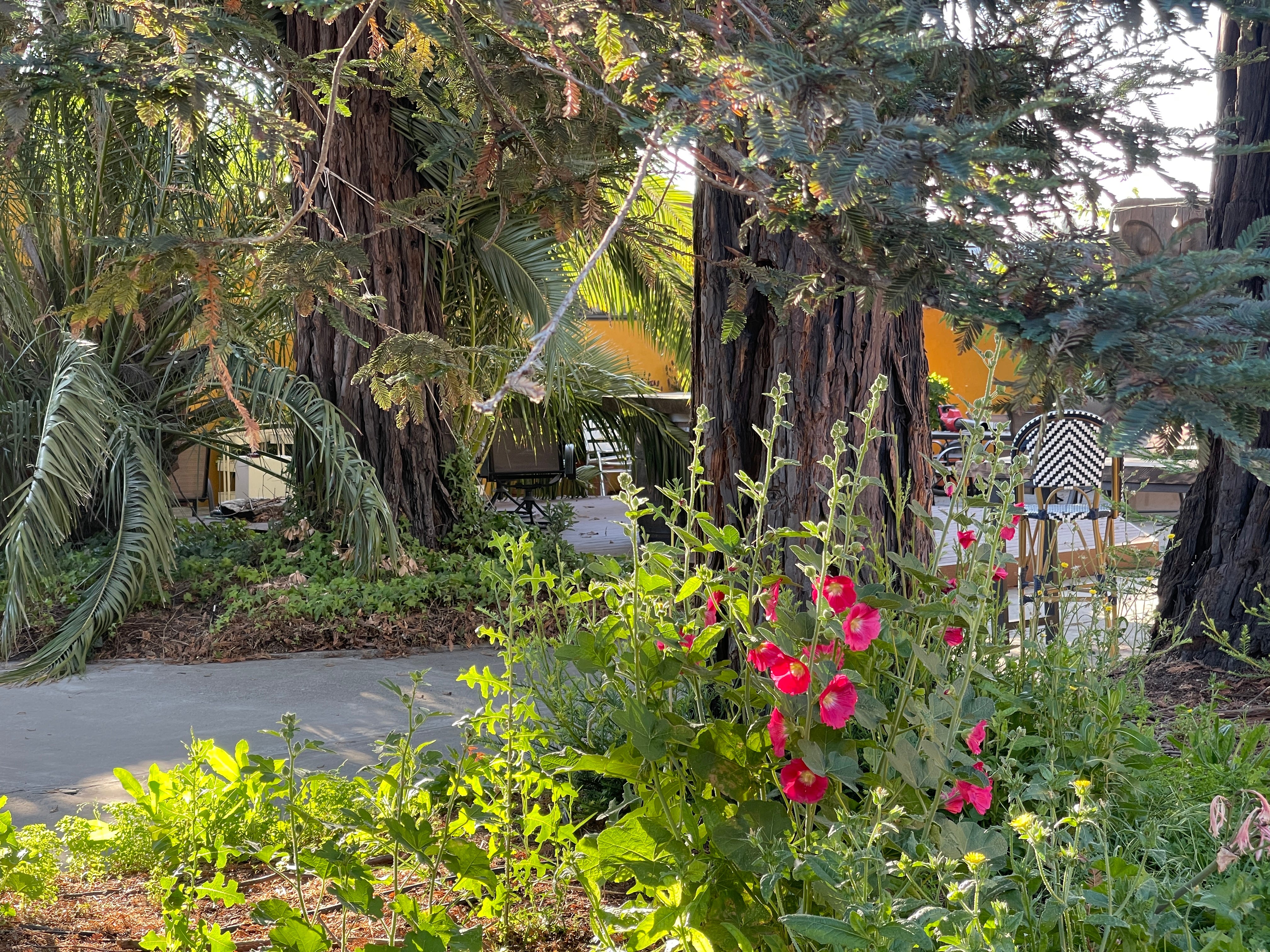 Going to sleep on fear