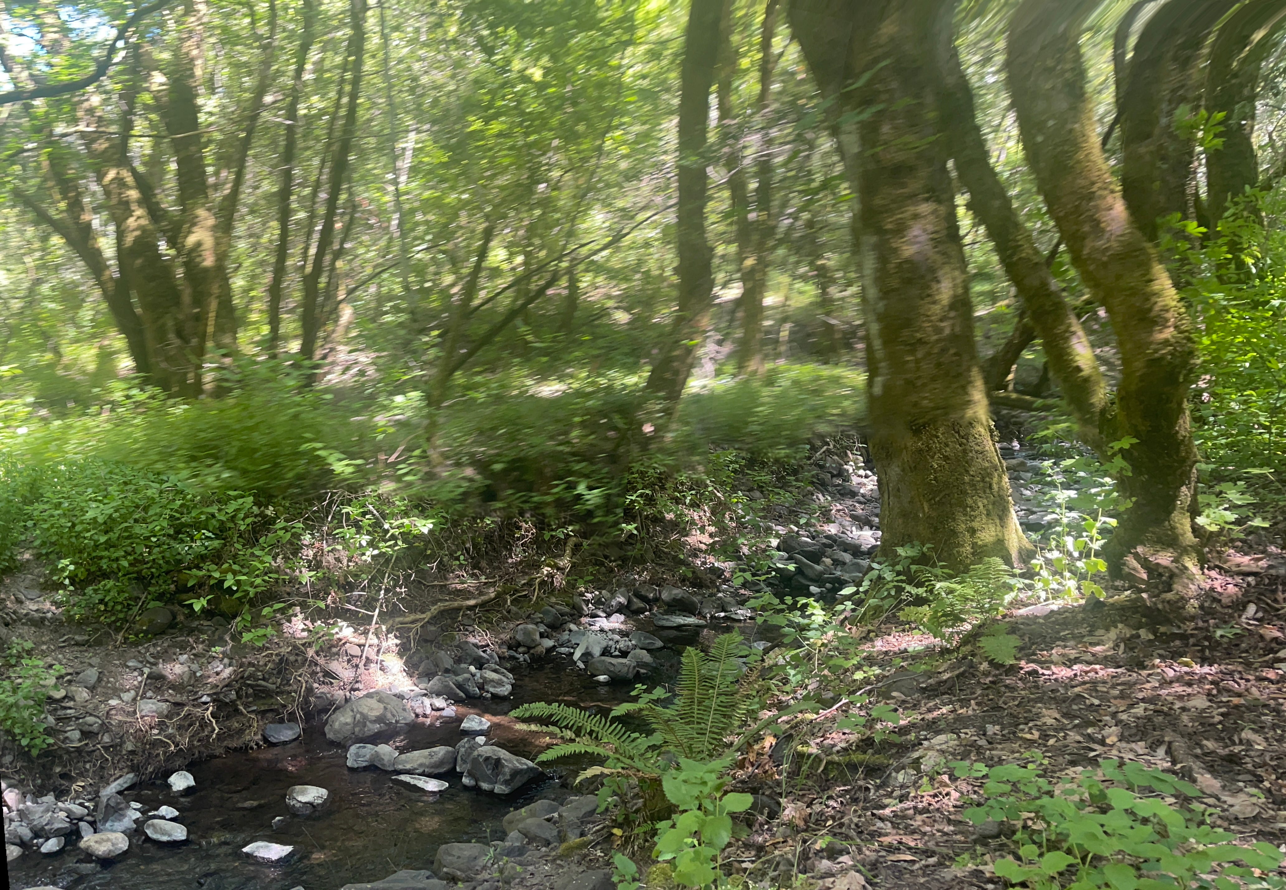 The story of my first self-initiation at 23