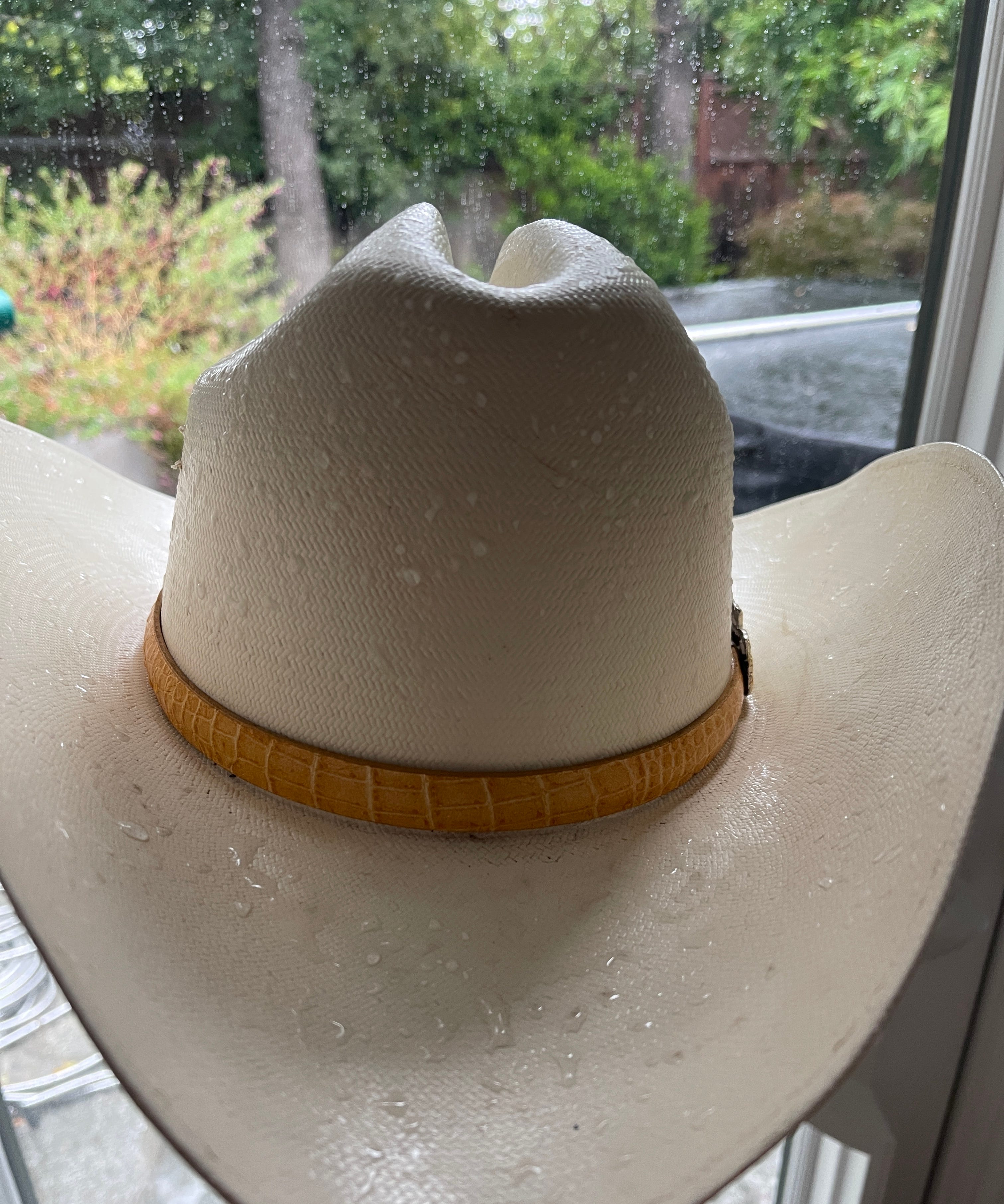 Rain on my cowgirl hat...