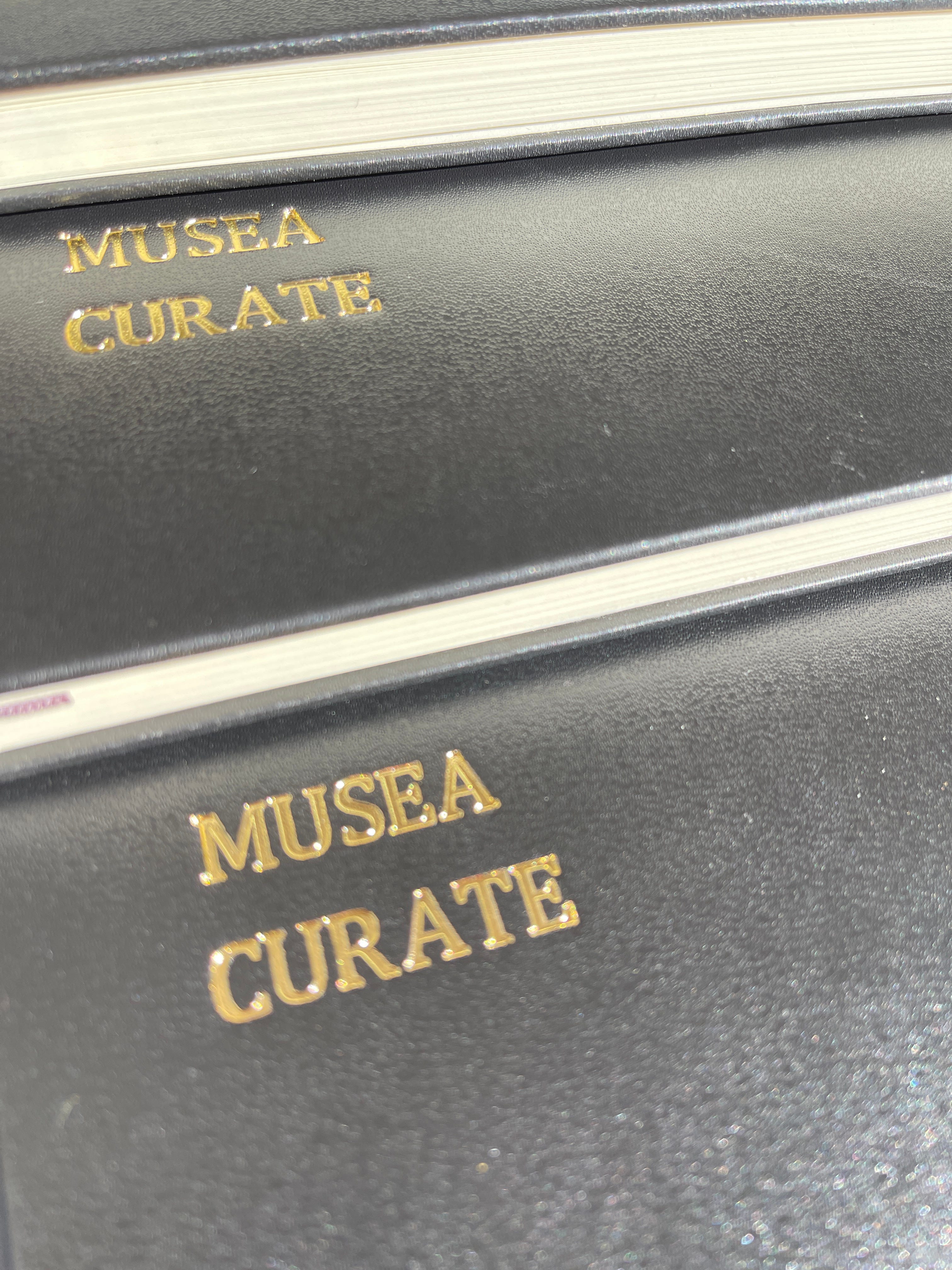 Threshold - about starting a university ♥️