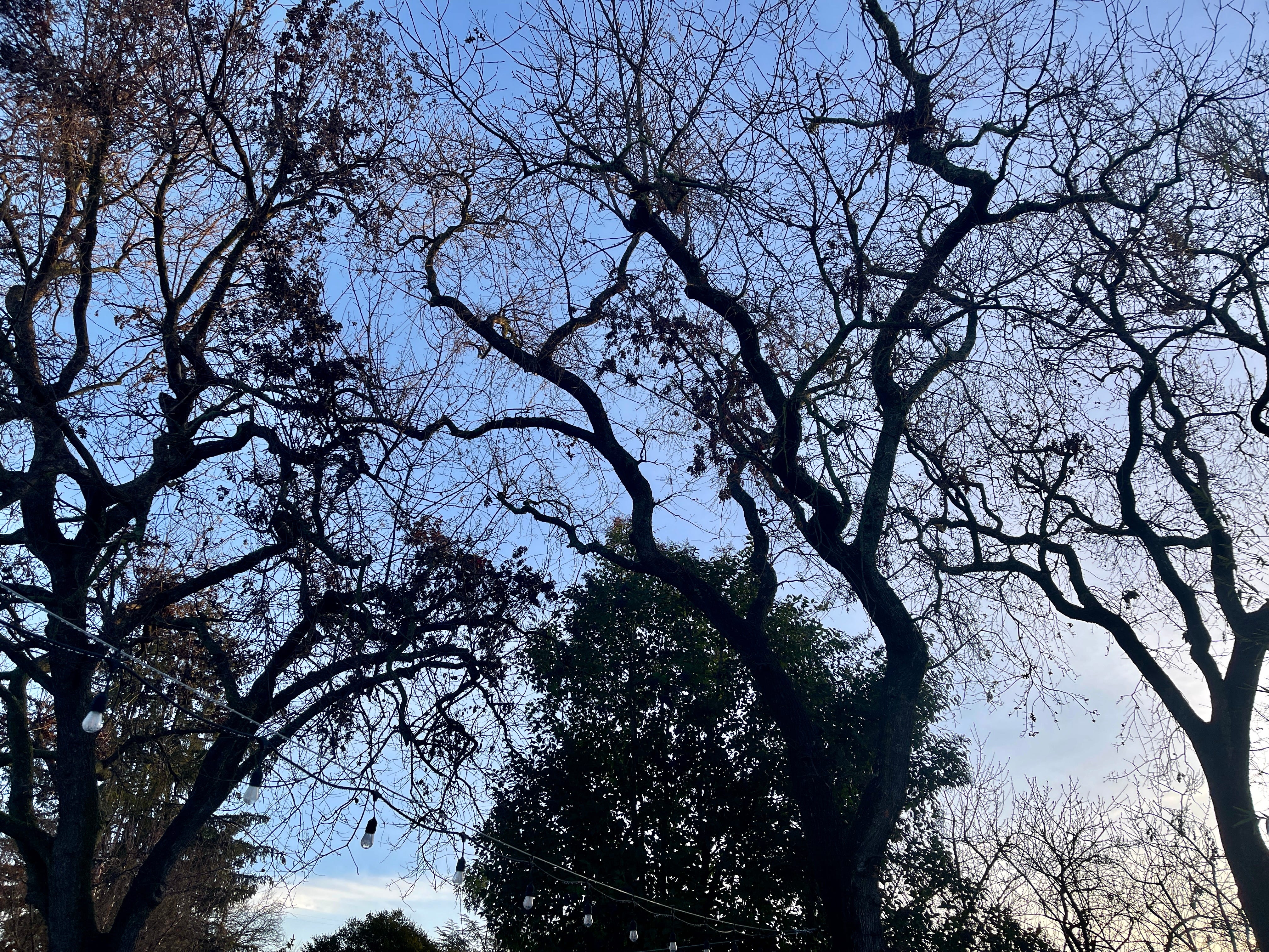 What are you noticing?