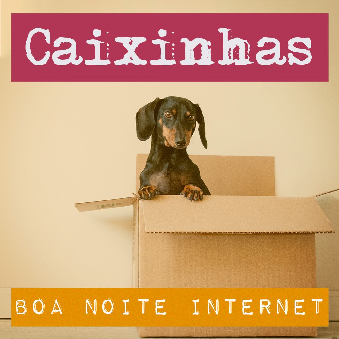 Caixinhas — com Bia Granja