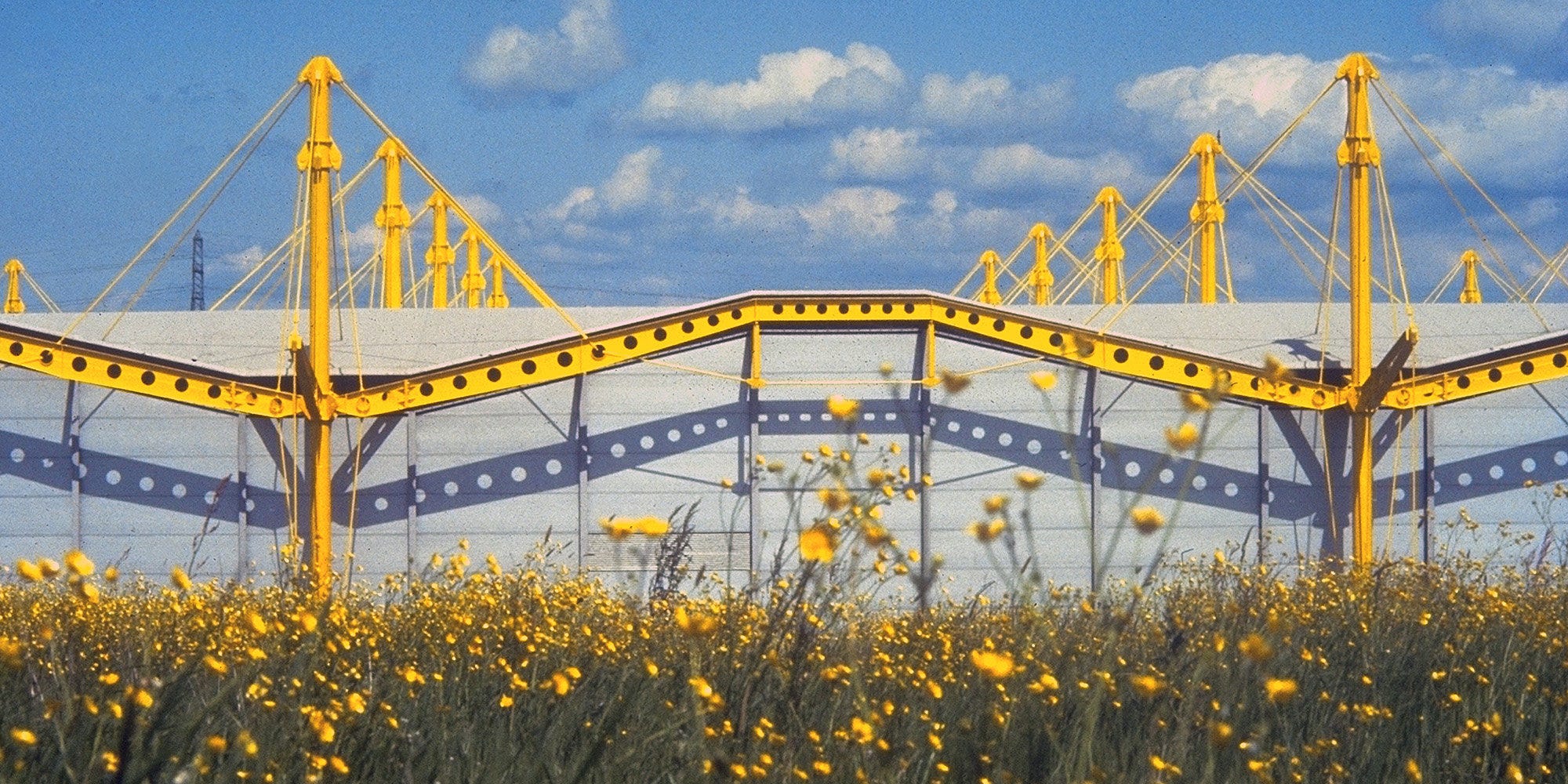 Monstrosities Mon Amour