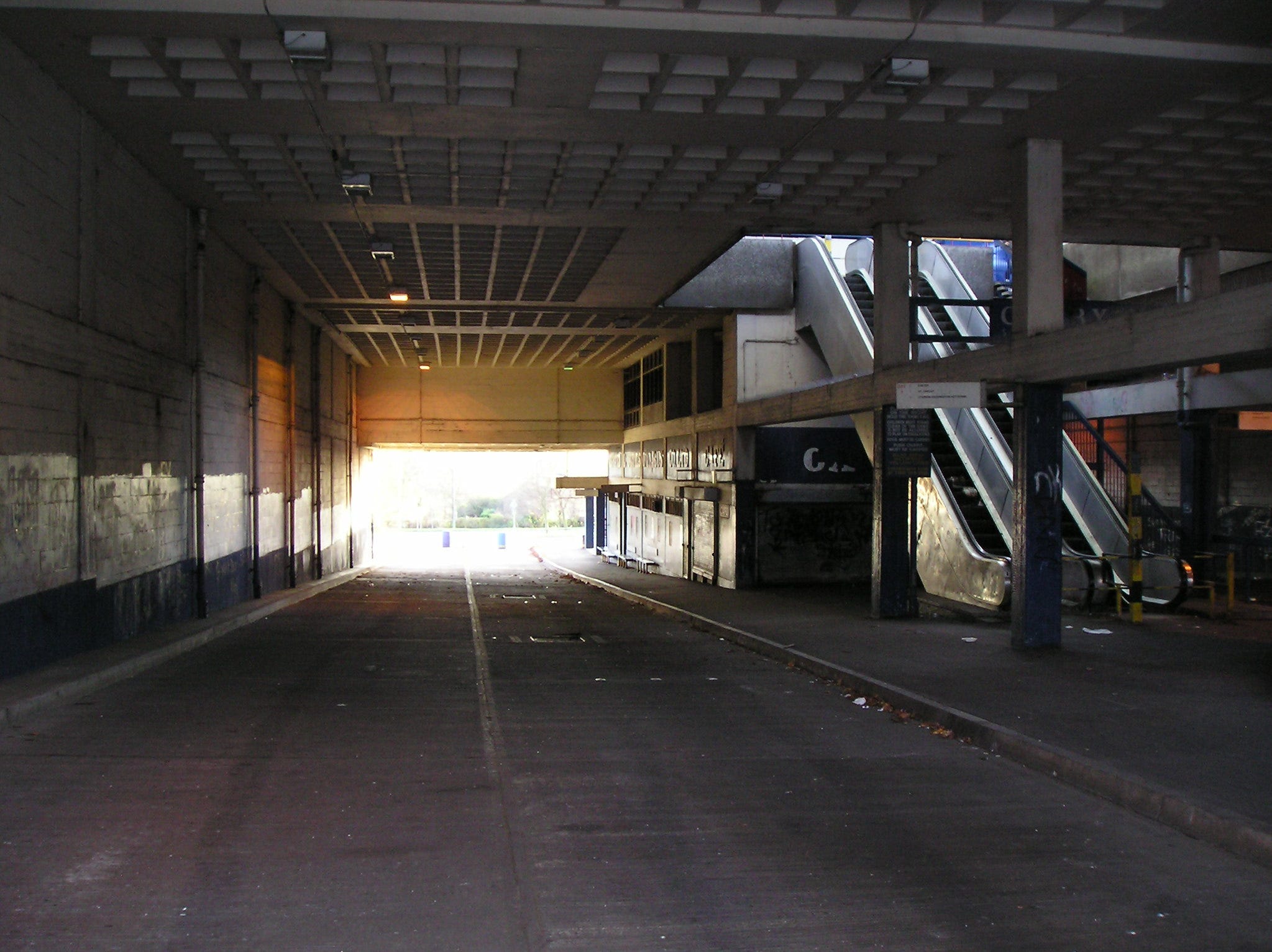 Monstrosities Mon Amour