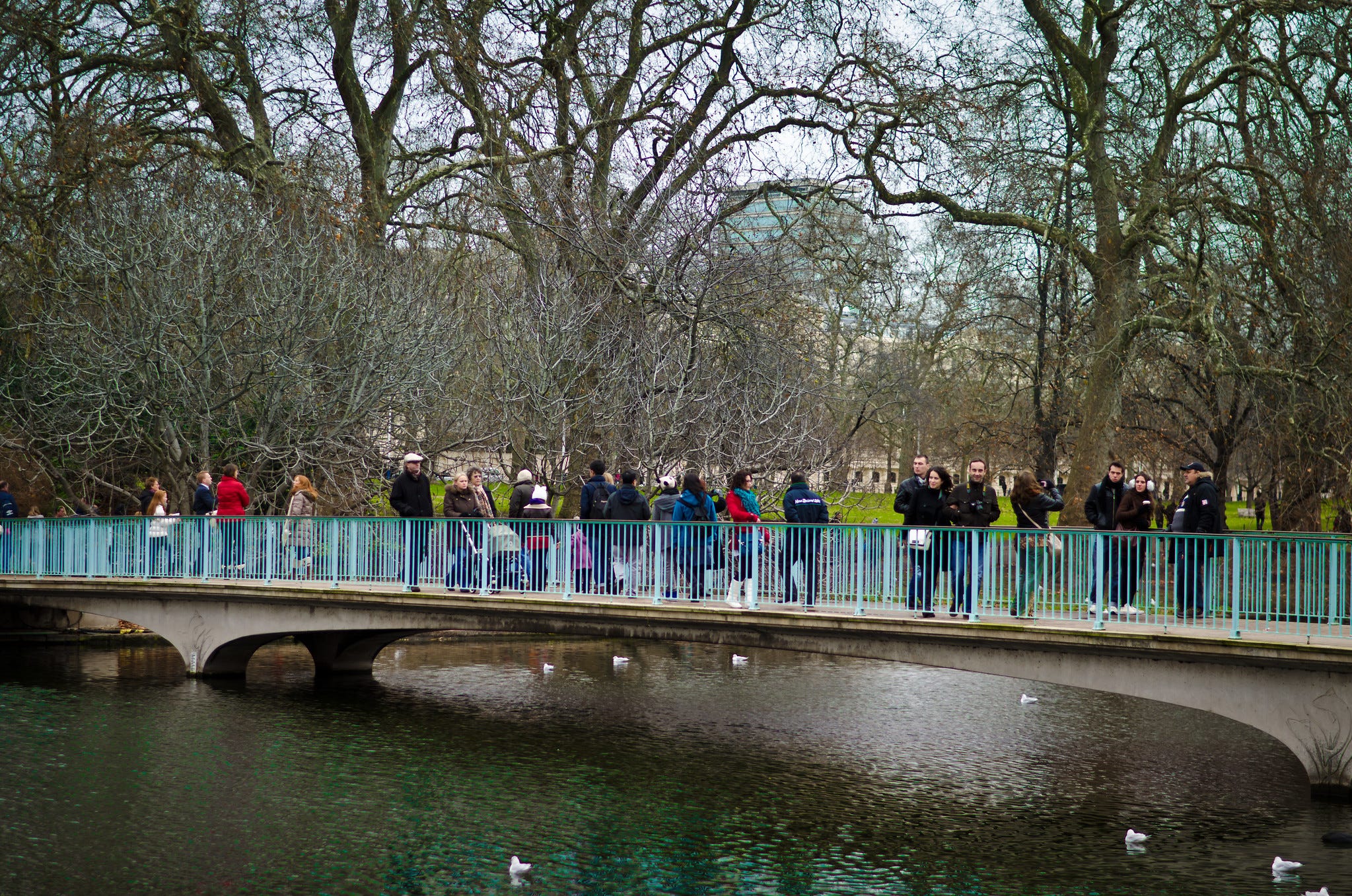 Monstrosities Mon Amour: The Blue Bridge, with Catherine Croft