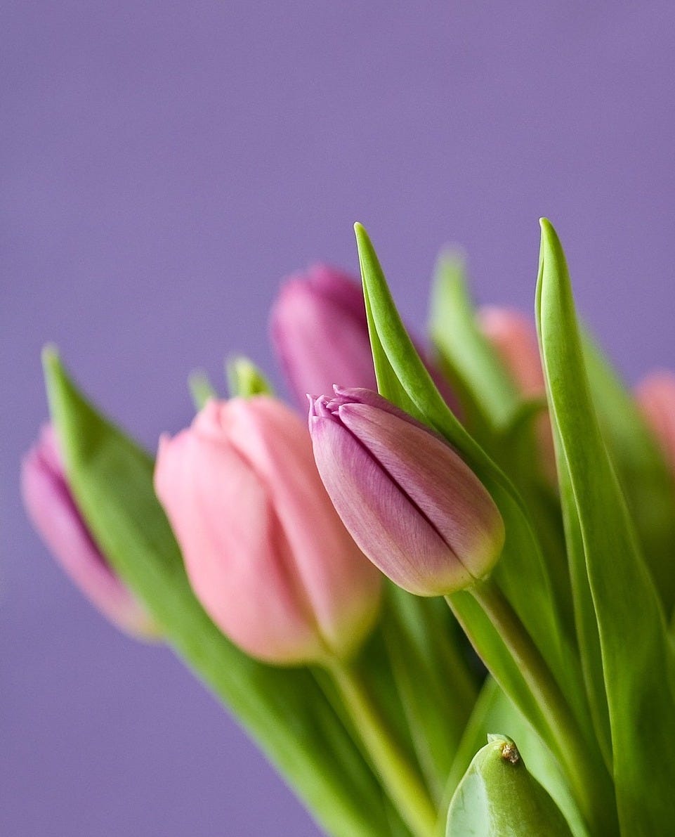 Podcast S2E7: Let's Talk About Love Podcast S2E7: Let's Talk About Love