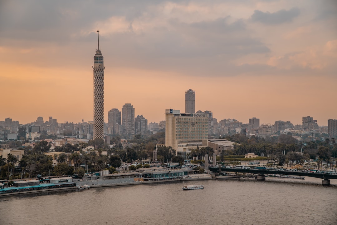 كيف سيستفيد الاقتصاد المصري من الأرجنتين ونيجيريا؟