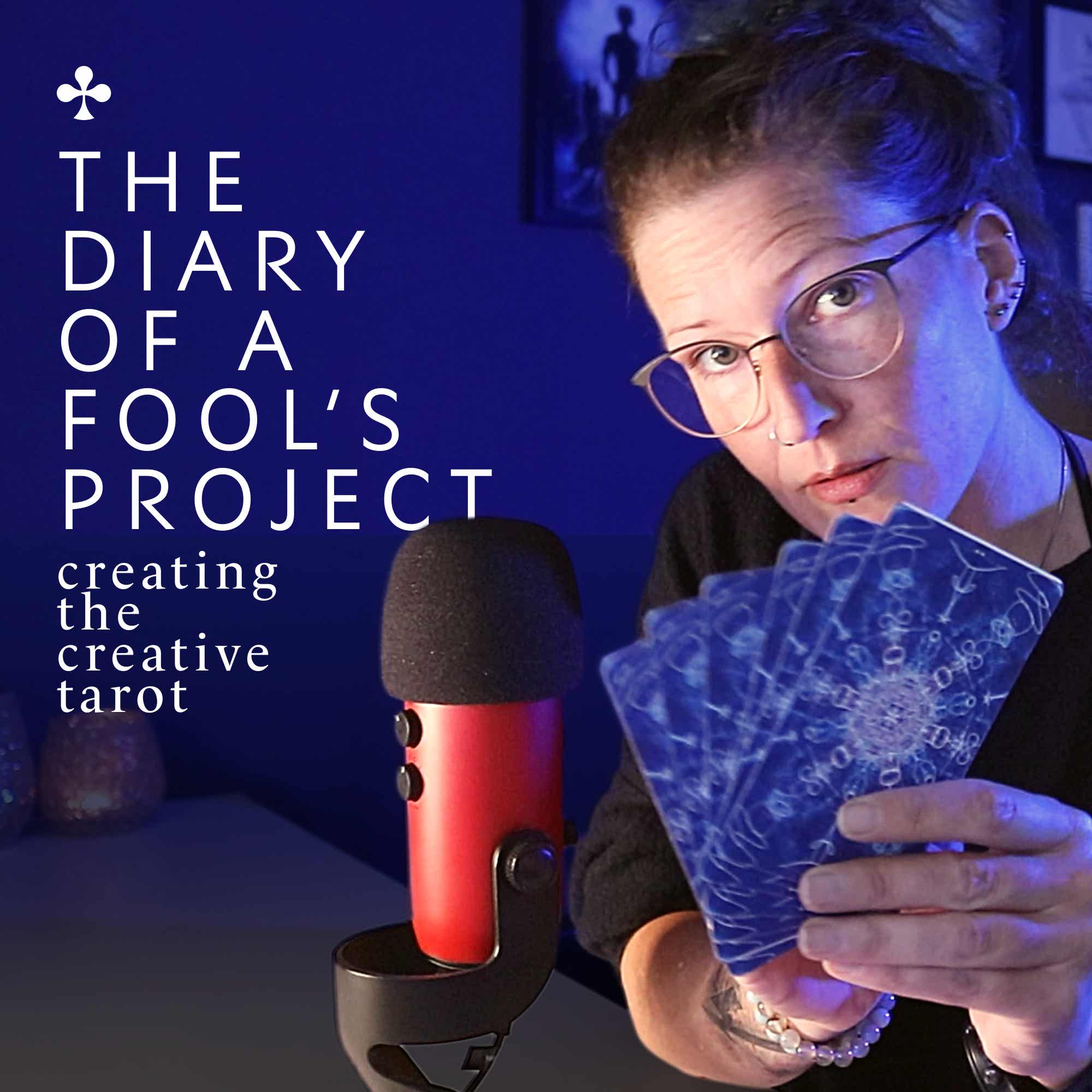 Diary of a Fool’s Project cover art