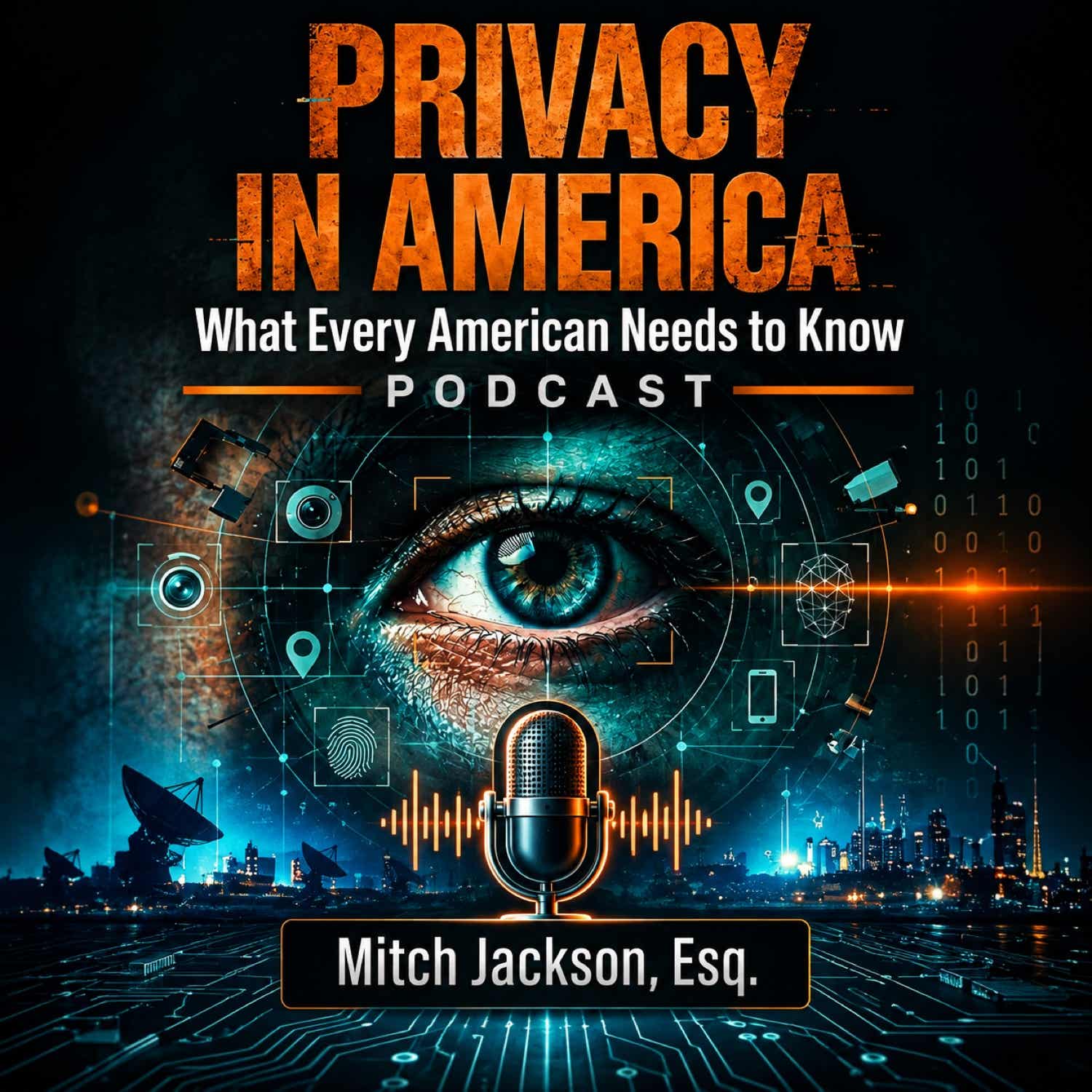 Privacy In America podcast artwork