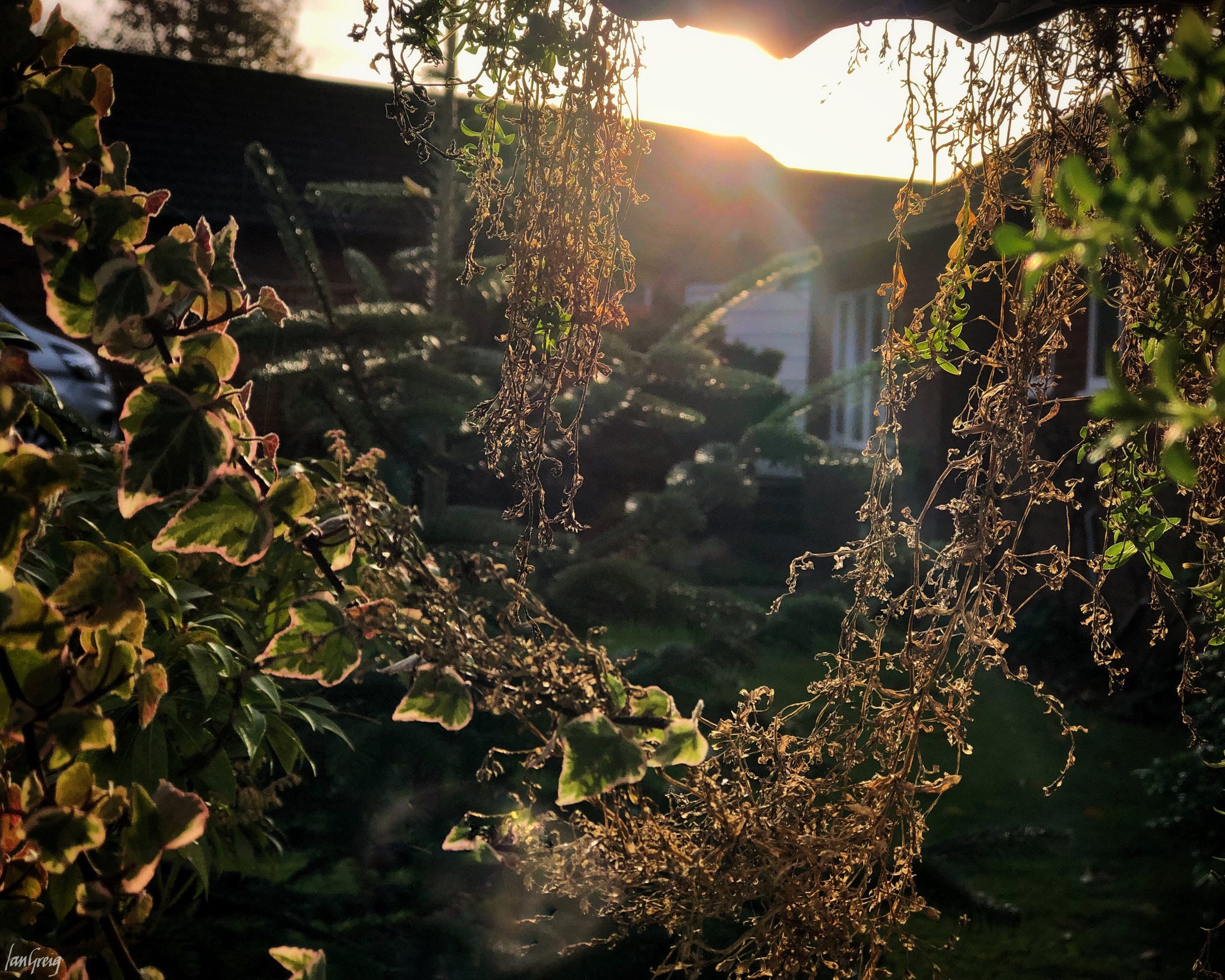 The Living Word Podcast