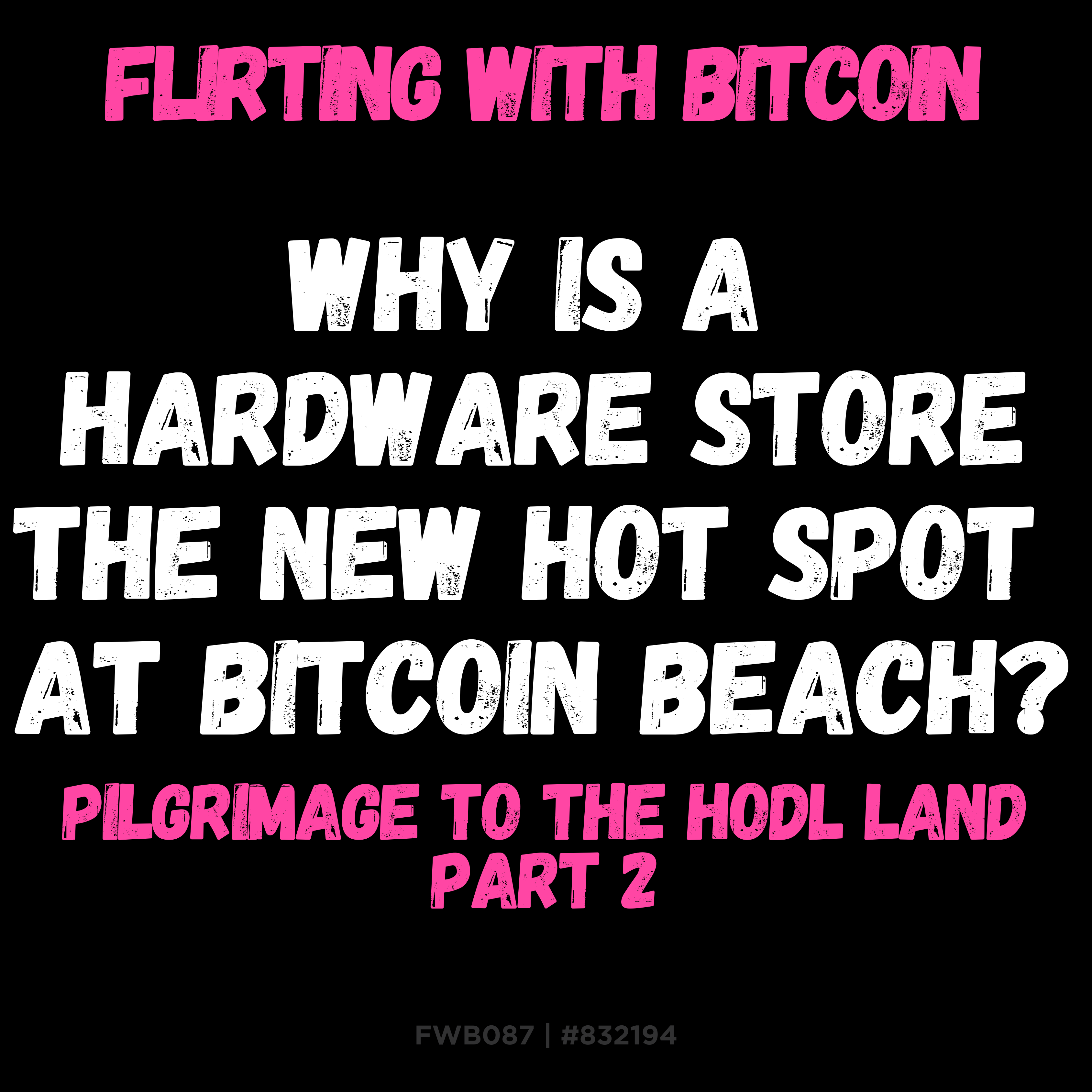 ⚡🇸🇻 FWB087 - Pilgrimage To the HODL Land - PART 2