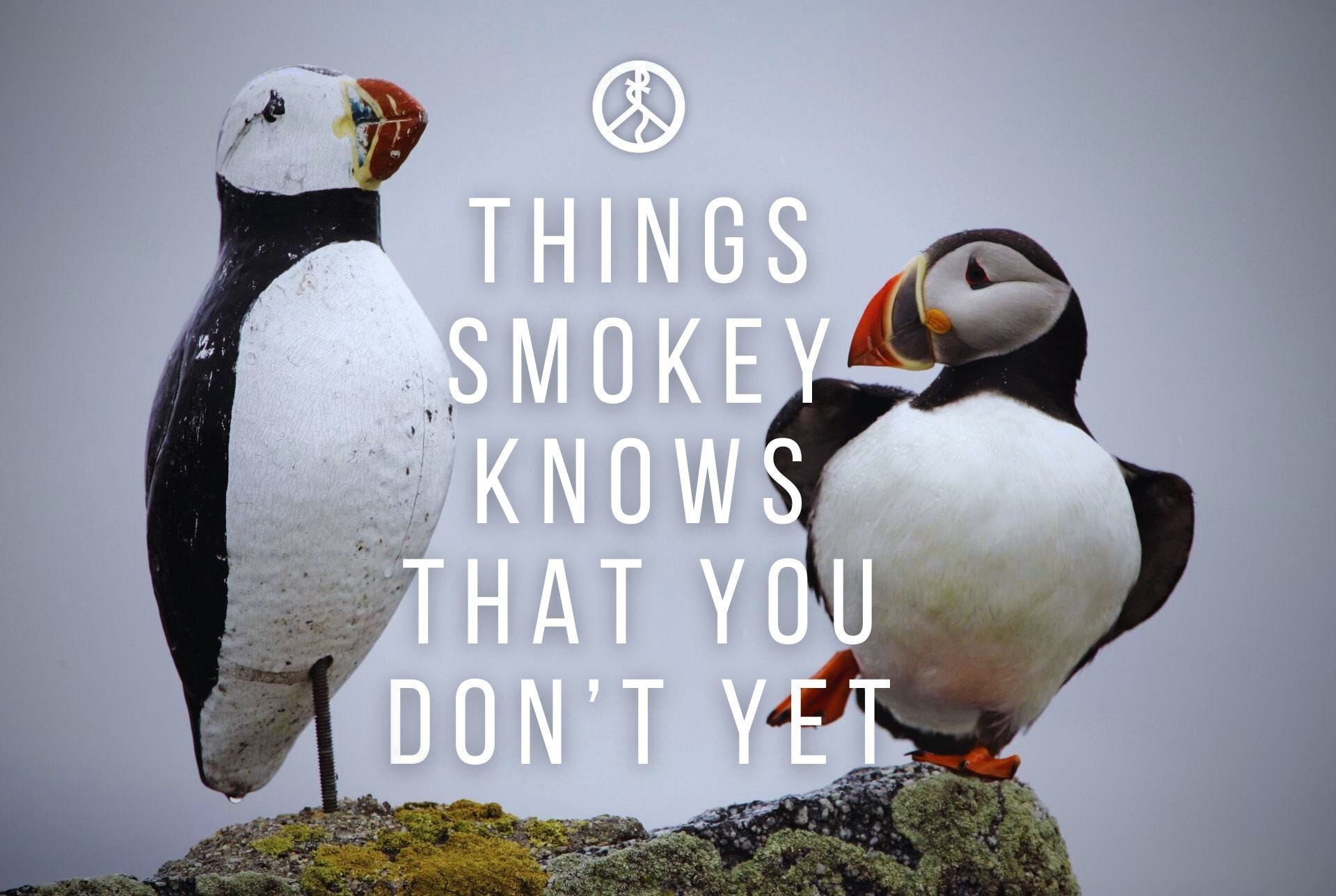 Talky Bnonnsense #3: Smokey's nine favorite facts + one more from Bnonn