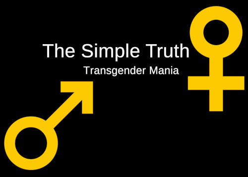 Transgender Mania episode artwork