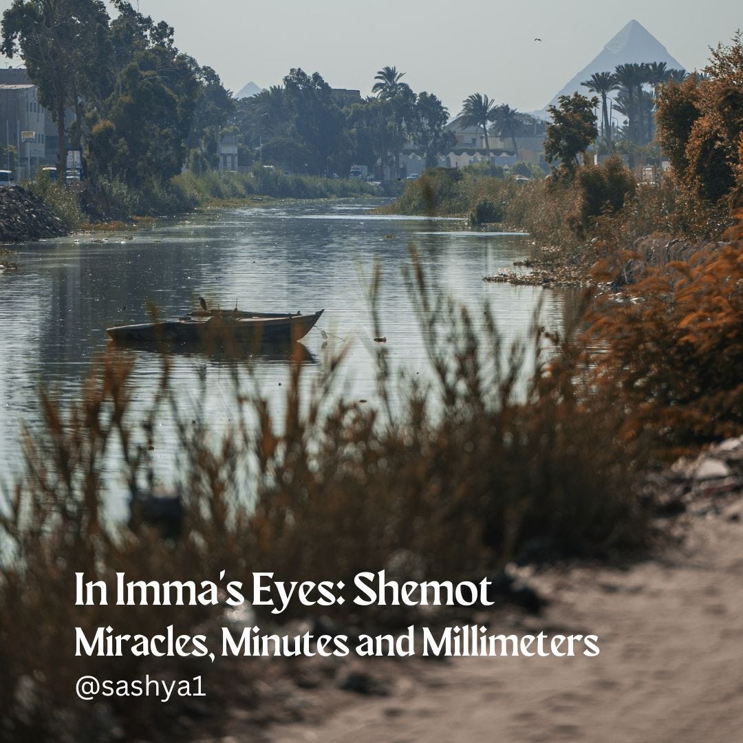 In Imma\'s Eyes Podcast