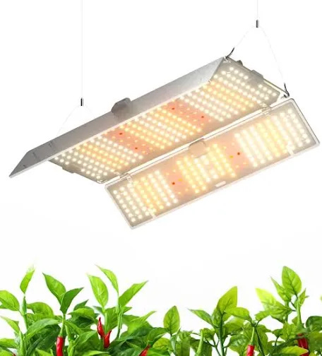 CoderCorgi Connection: inspiring snapshots for your future selves