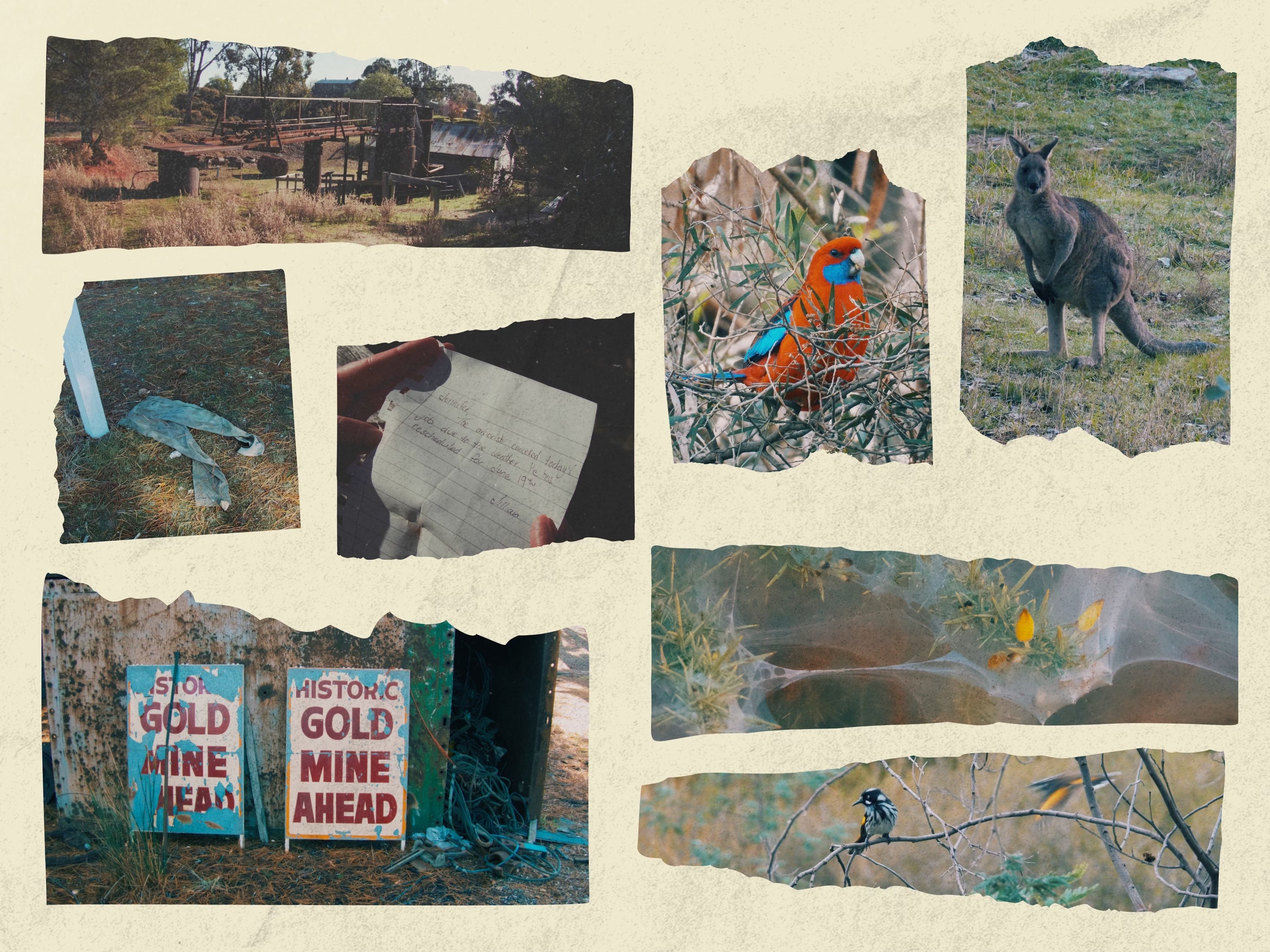 Dusk in the Goldfields episode artwork