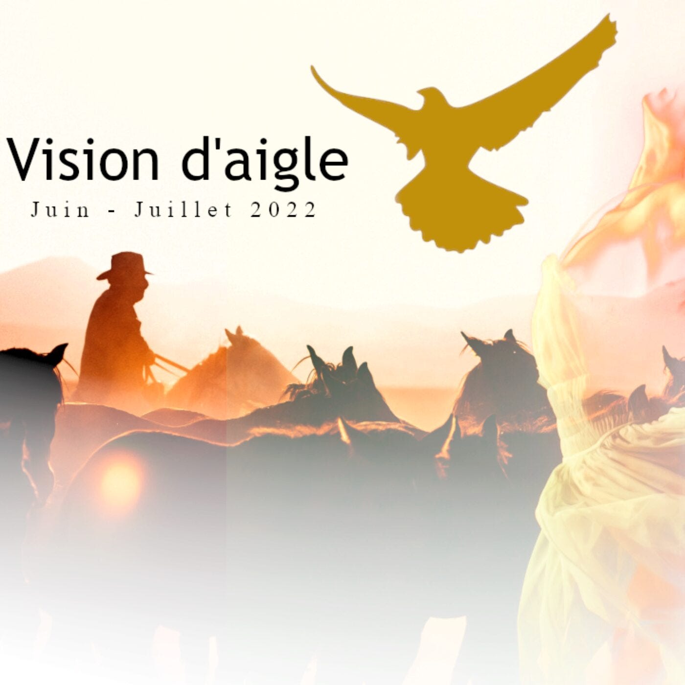 Vision d\'aigle