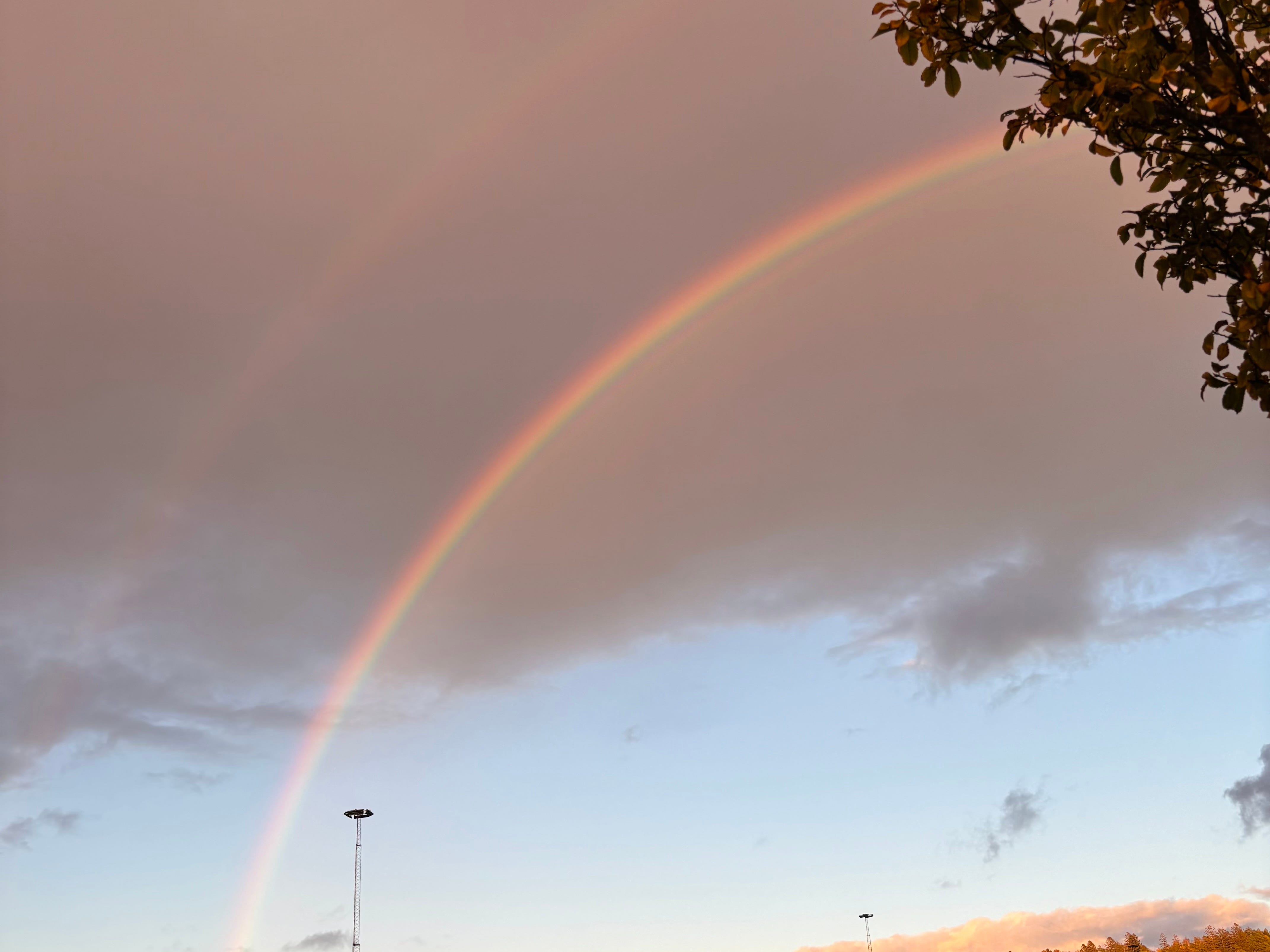 Svenska med Kalles Podcast