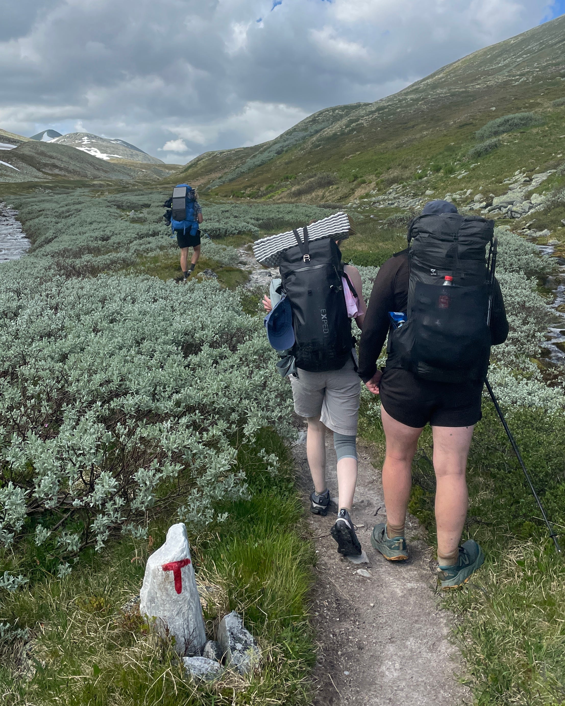 Folk i fjällen